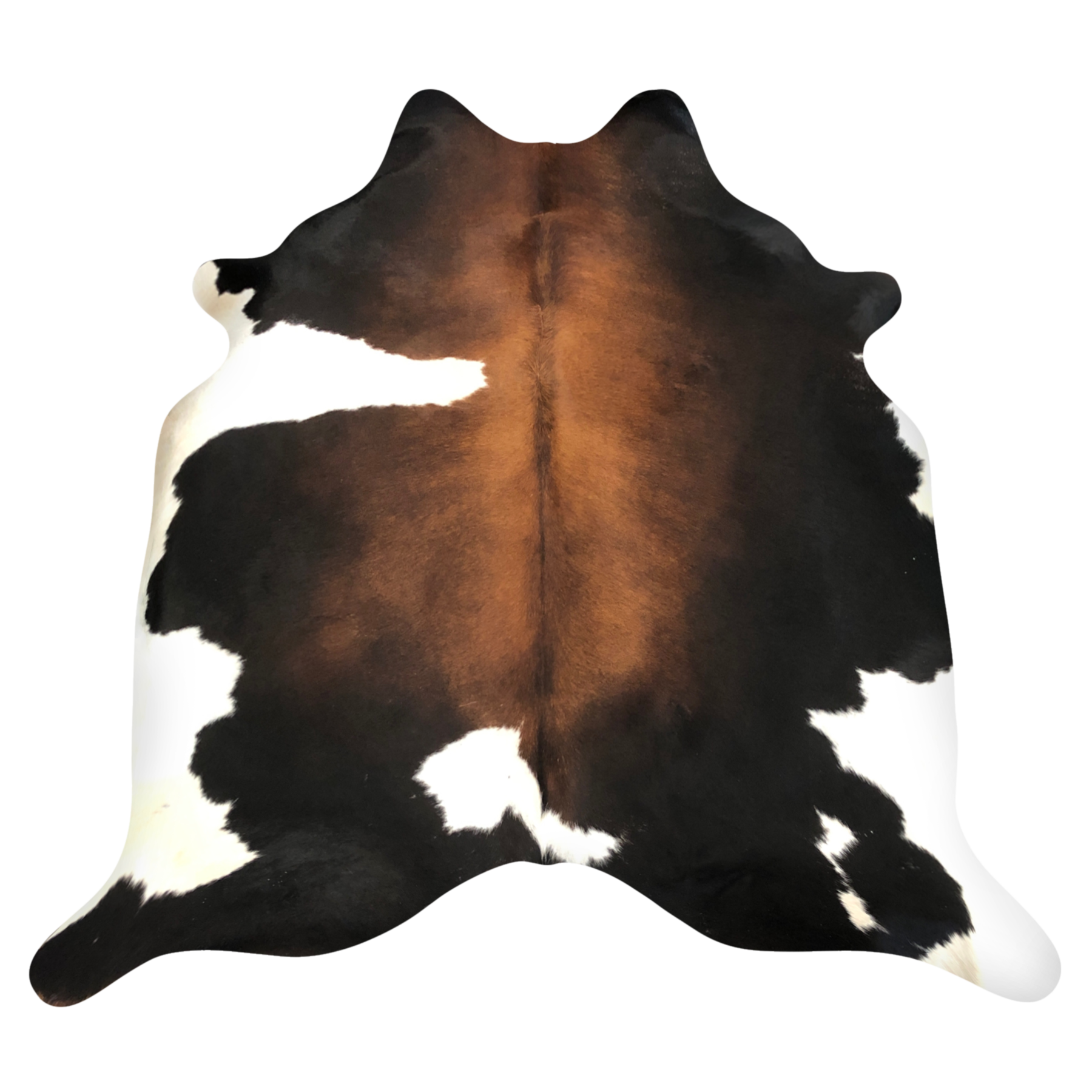 Natural Brazilian cowhide rug in Espresso, Mocha & Ivory with Exotic markings, 189 x 237 cm