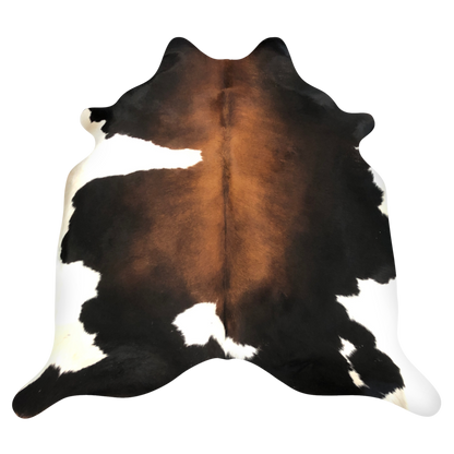 Natural Brazilian cowhide rug in Espresso, Mocha & Ivory with Exotic markings, 189 x 237 cm