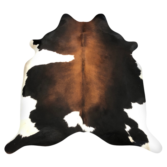 Natural Brazilian cowhide rug in Espresso, Mocha & Ivory with Exotic markings, 189 x 237 cm