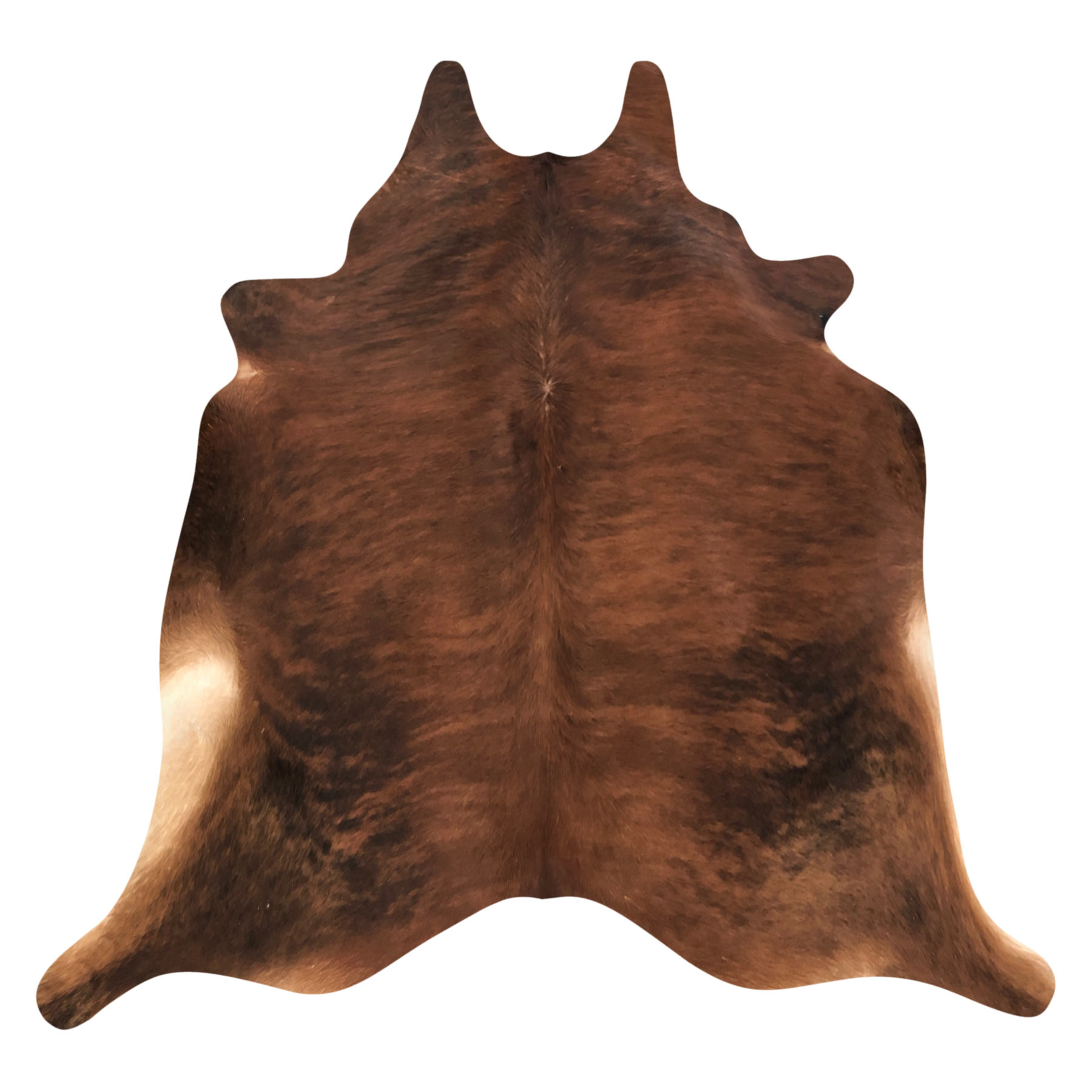 Natural Brazilian cowhide rug in Mocha, Taupe & Espresso with Brindle markings, 228 x 234 cm