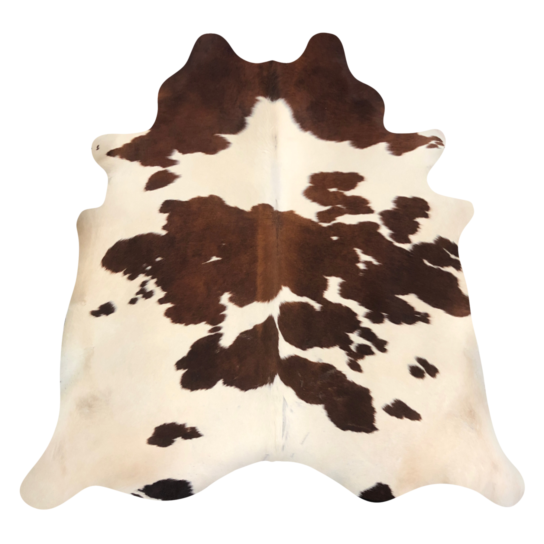 Natural Brazilian cowhide rug in Mocha & Ivory with Exotic markings, 214 x 227 cm