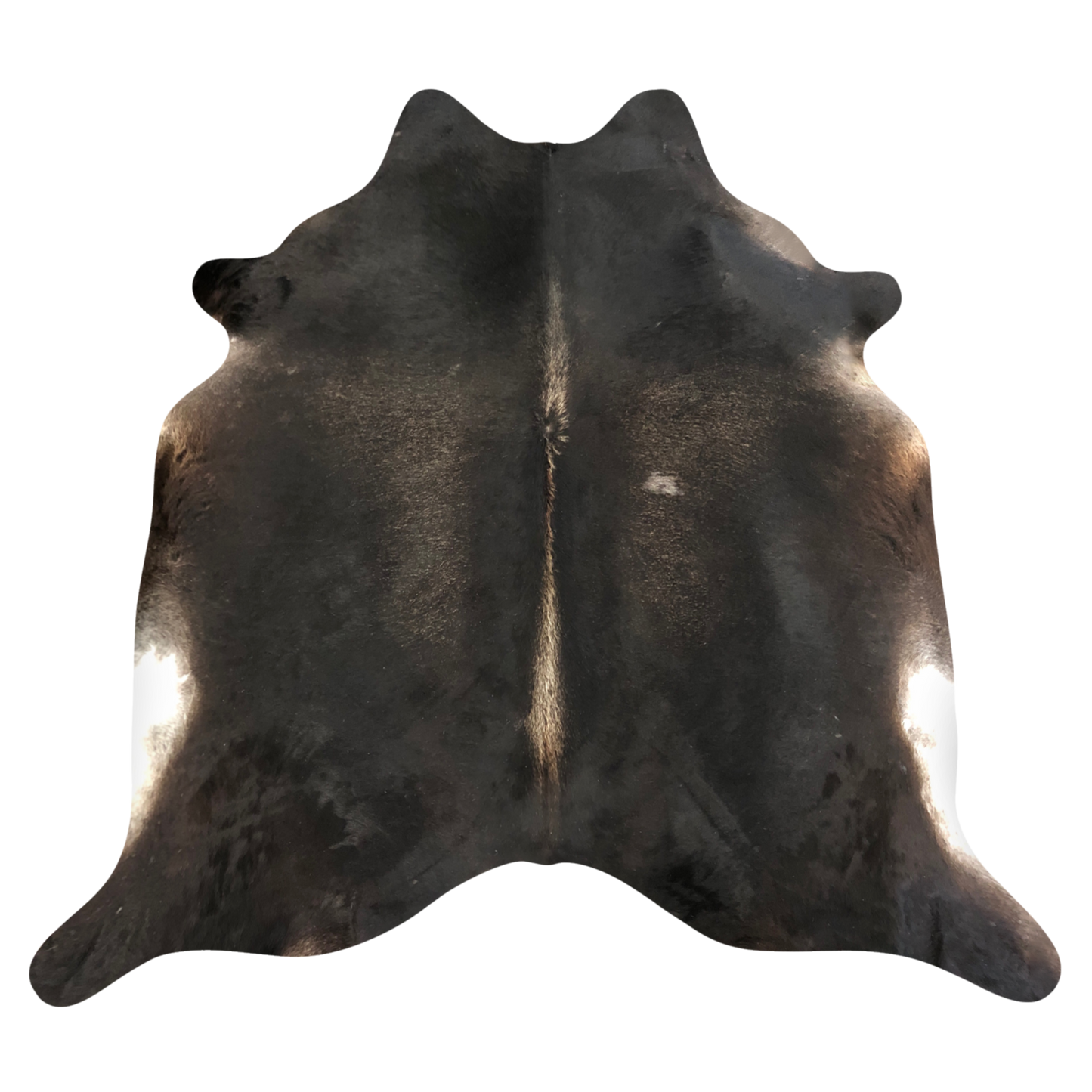 Natural Brazilian cowhide rug in Espresso, Caramel & Ivory with Exotic markings, 212 x 242 cm
