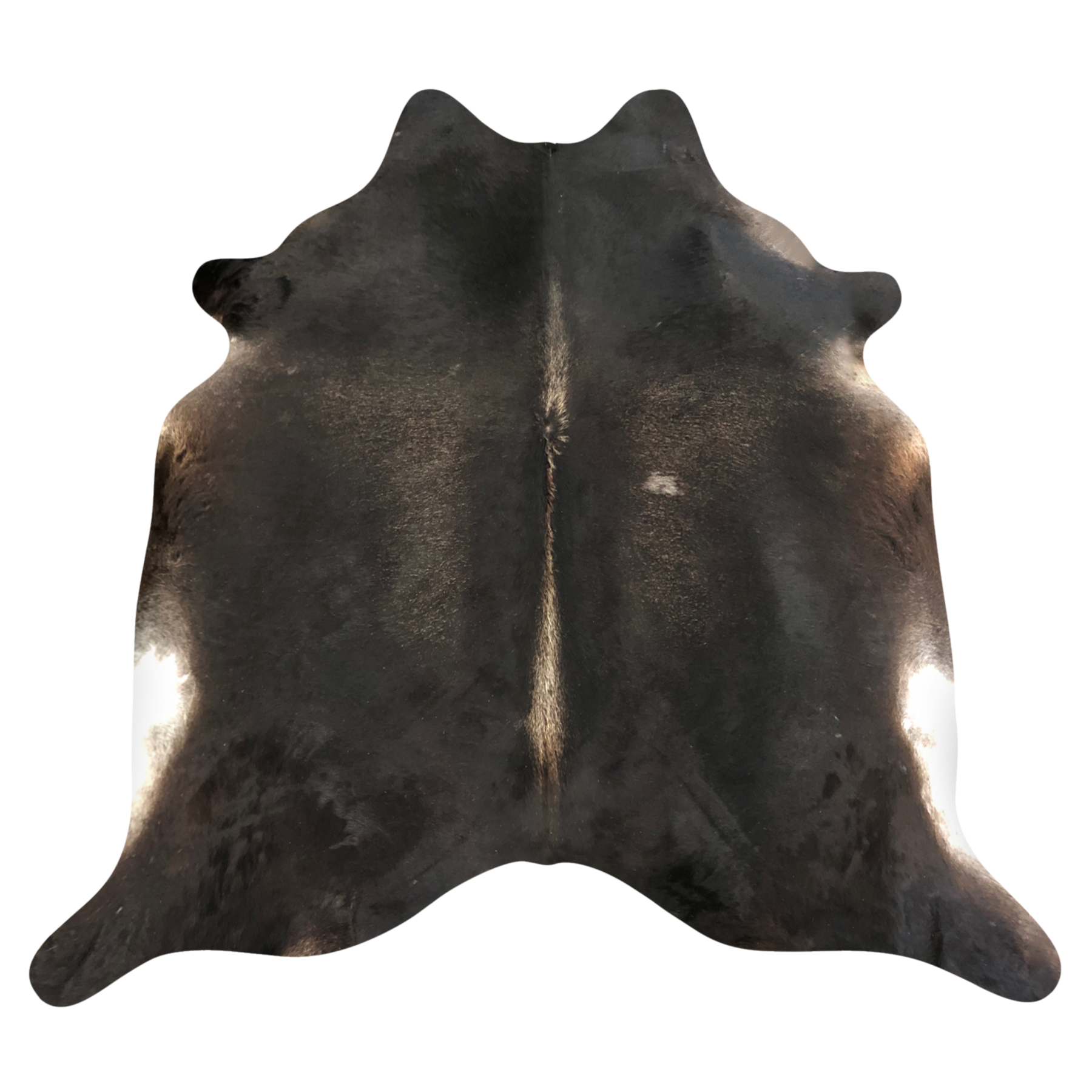 Natural Brazilian cowhide rug in Espresso, Caramel & Ivory with Exotic markings, 212 x 242 cm