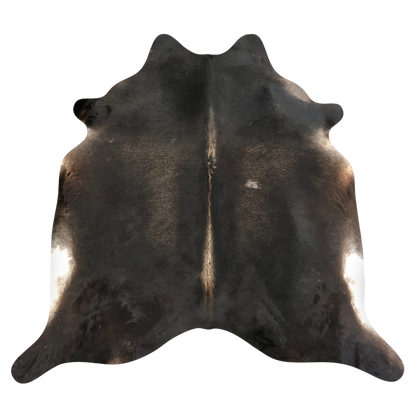 Natural Brazilian cowhide rug in Espresso, Caramel & Ivory with Exotic markings, 212 x 242 cm