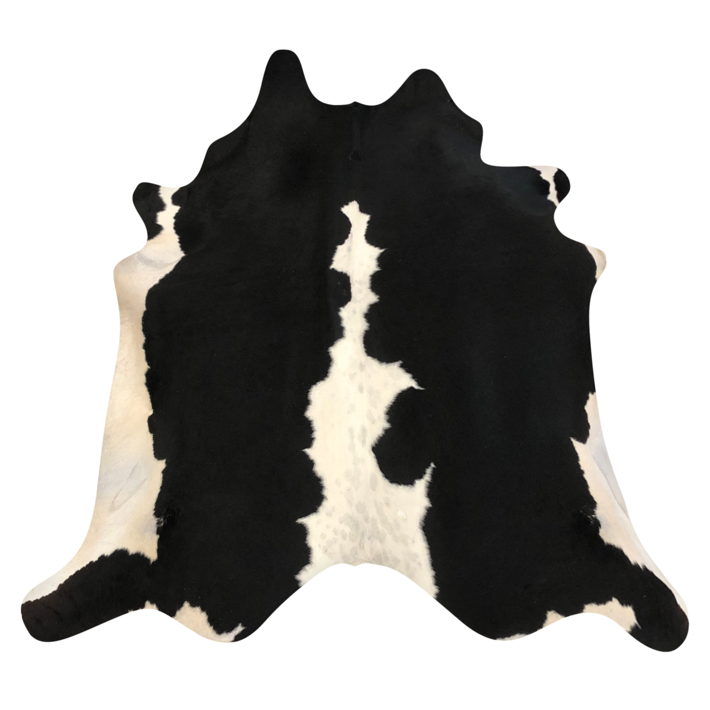 Natural Brazilian cowhide rug in Espresso & Ivory with Exotic markings, 223 x 230 cm