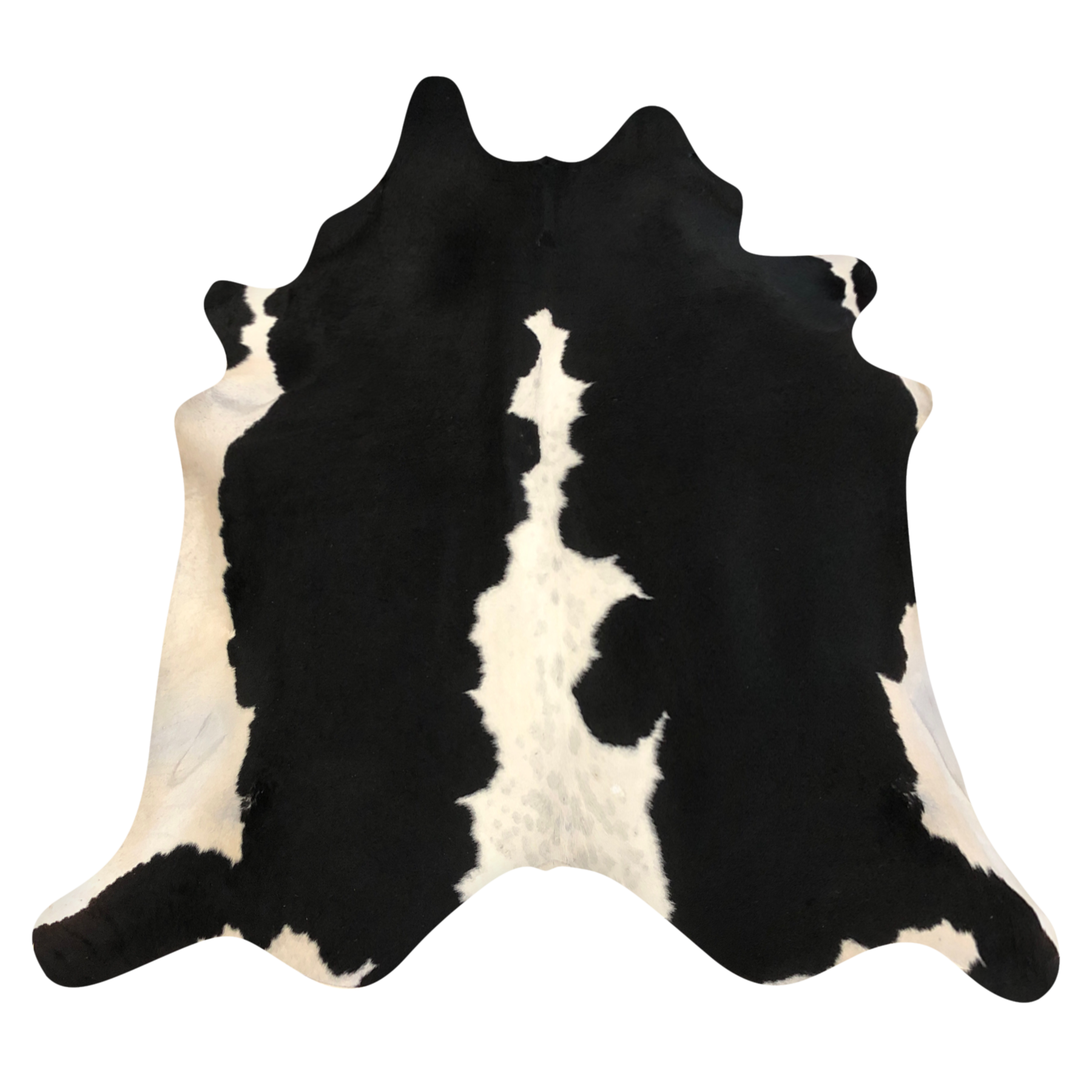 Natural Brazilian cowhide rug in Espresso & Ivory with Exotic markings, 223 x 230 cm