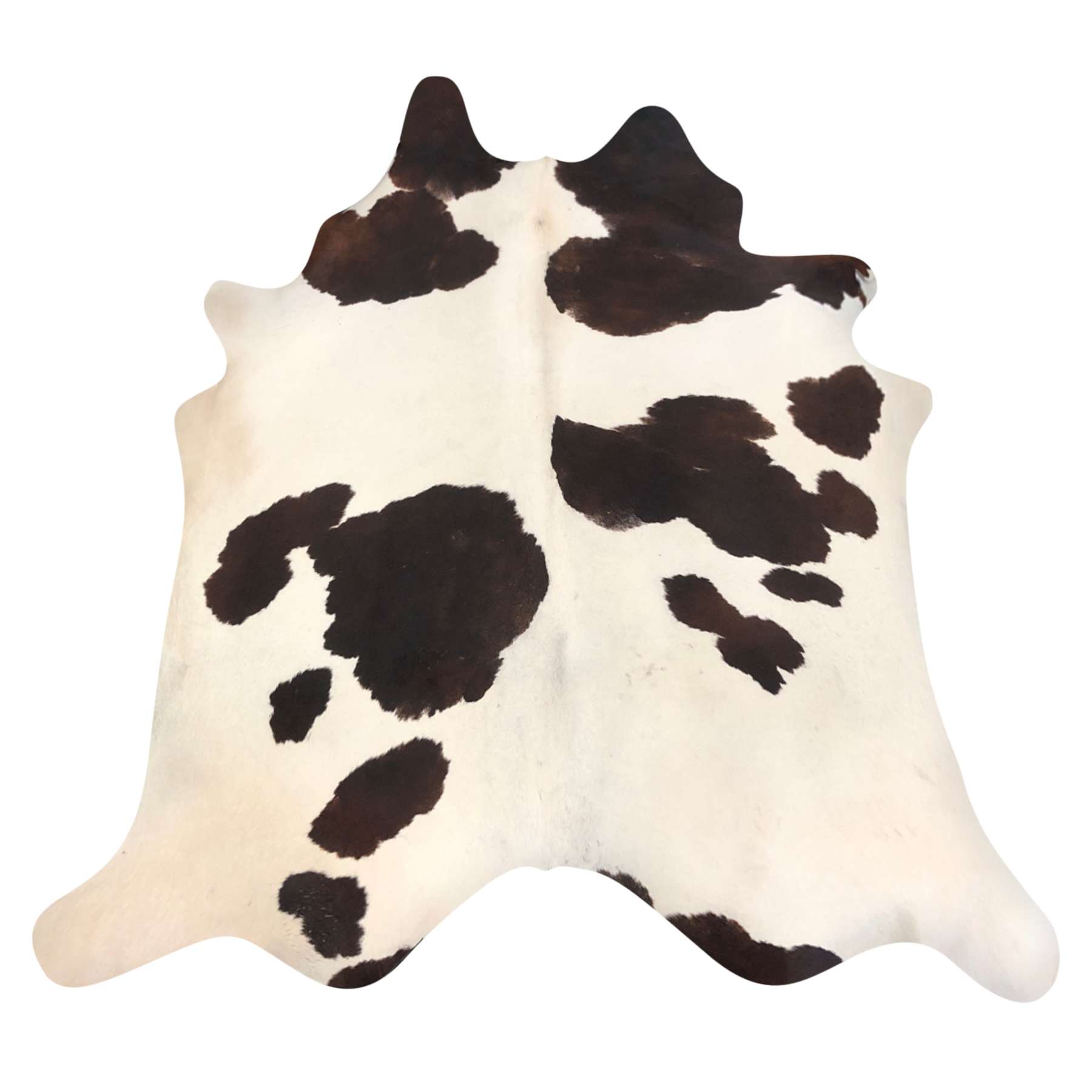 Natural Brazilian cowhide rug in Ivory, Espresso & Mocha with Exotic markings, 212 x 240 cm