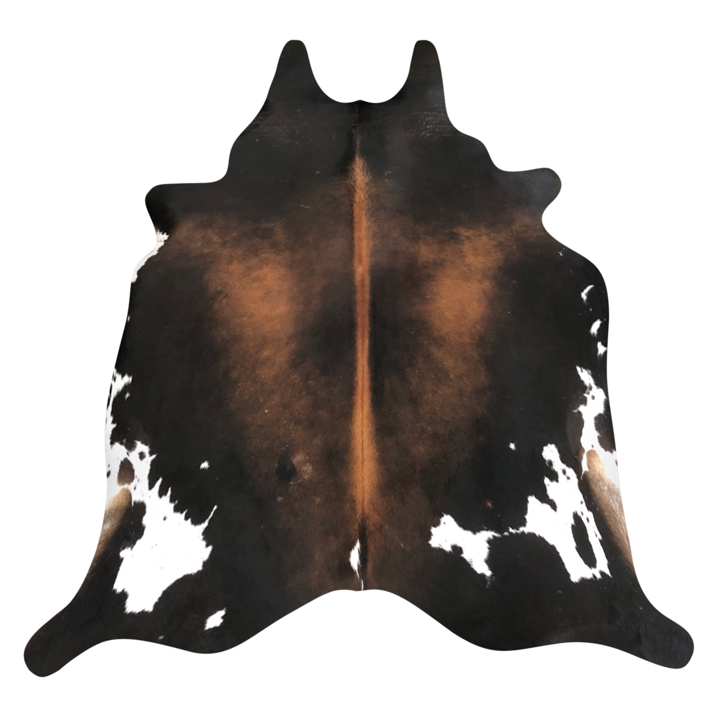 Natural Brazilian cowhide rug in Espresso, Mocha & Ivory with Exotic markings, 211 x 243 cm