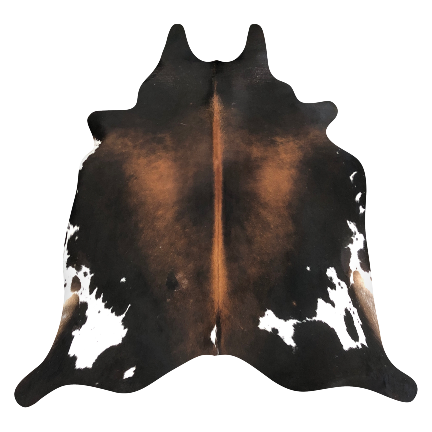 Natural Brazilian cowhide rug in Espresso, Mocha & Ivory with Exotic markings, 211 x 243 cm