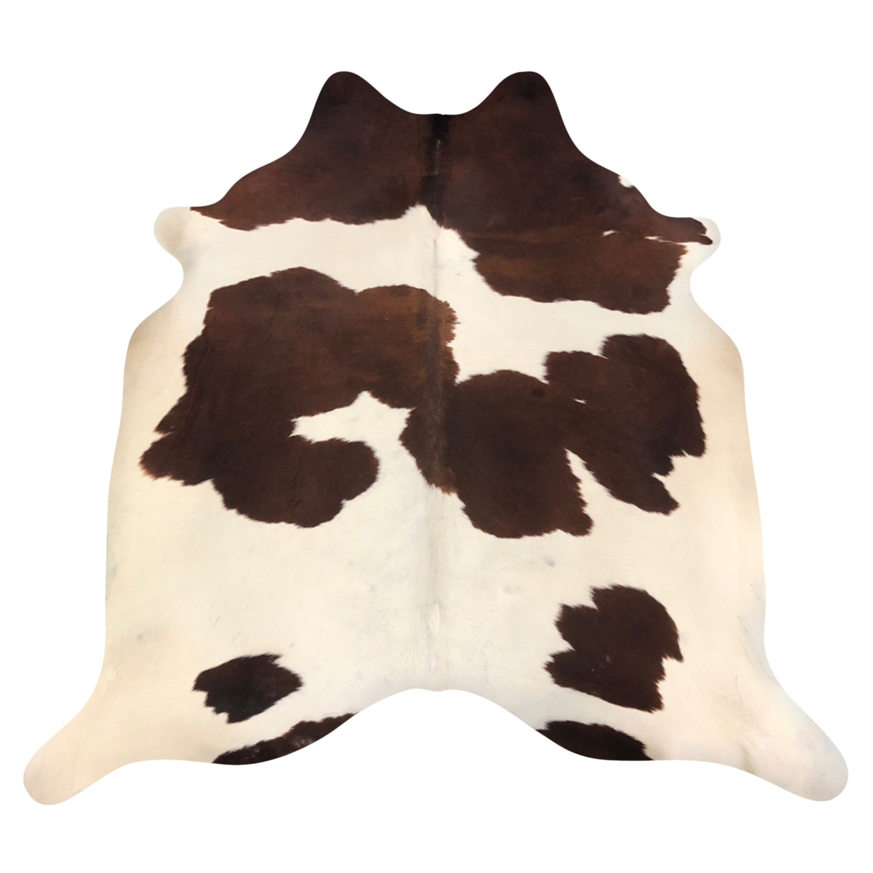 Natural Brazilian cowhide rug in Mocha & Ivory with Exotic markings, 200 x 234 cm