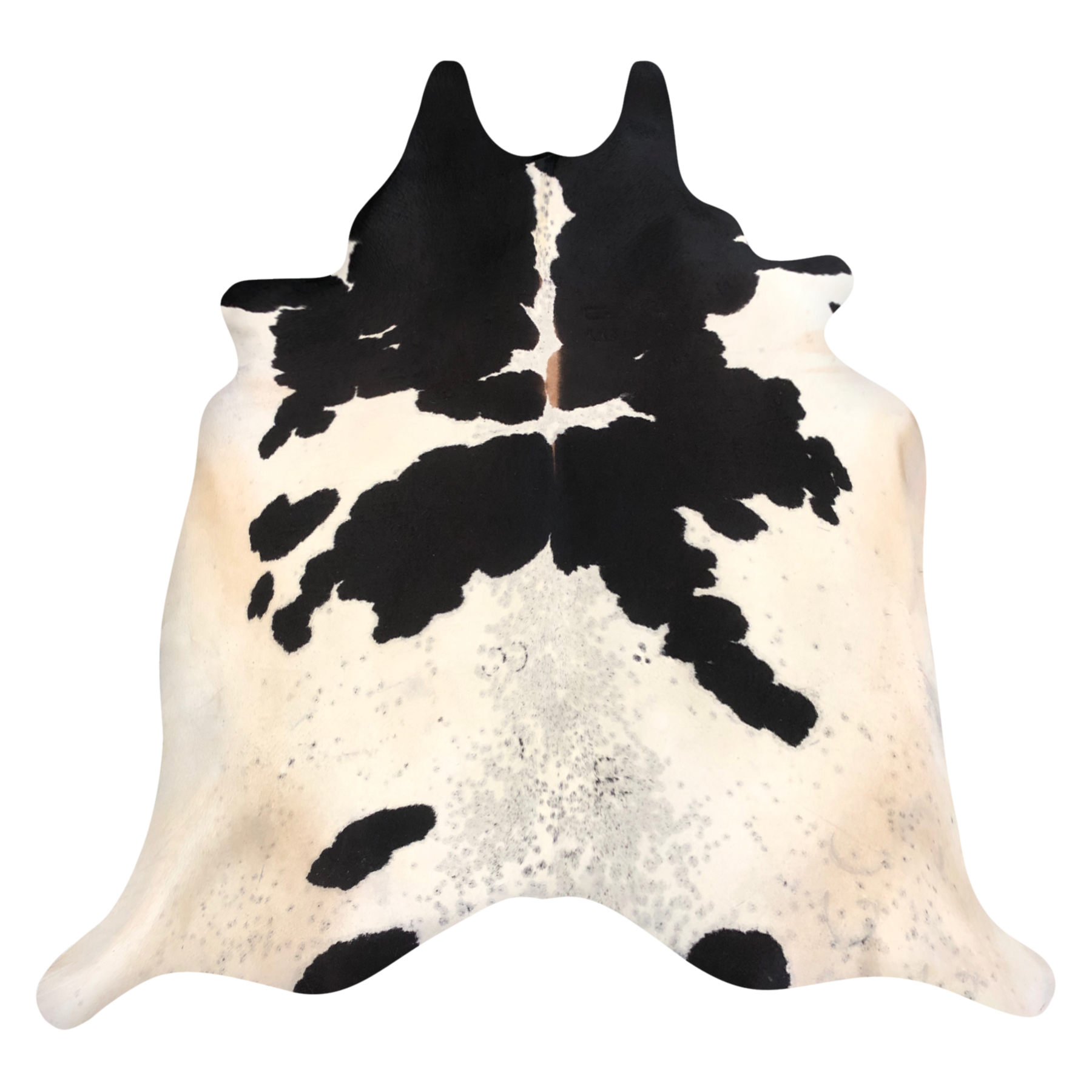 Natural Brazilian cowhide rug in Espresso, Ivory & Taupe with Exotic markings, 235 x 246 cm