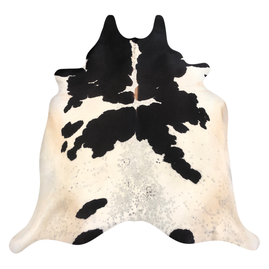 Natural Brazilian cowhide rug in Espresso, Ivory & Taupe with Exotic markings, 235 x 246 cm