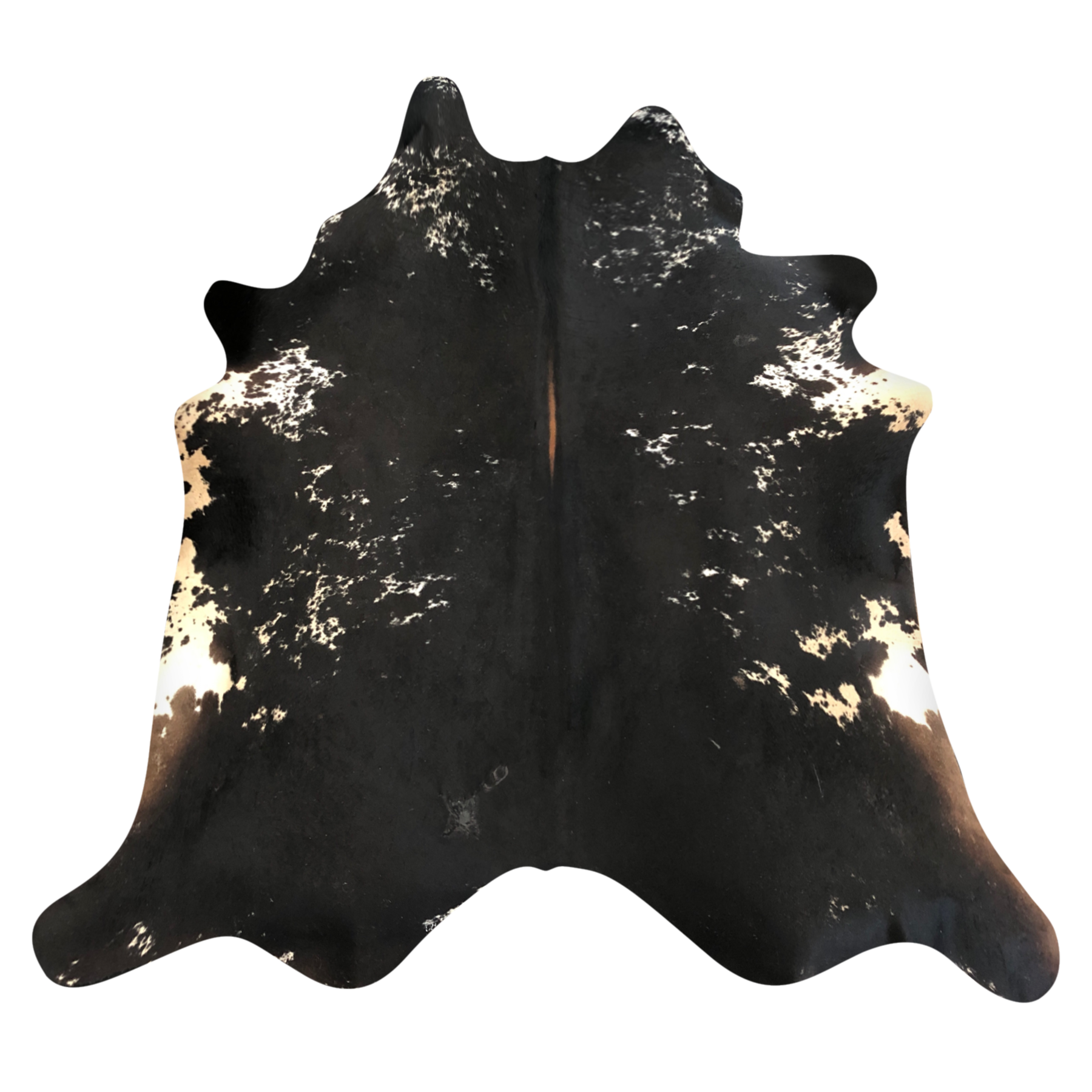 Natural Brazilian cowhide rug in Espresso, Ivory & Mocha with Exotic markings, 217 x 232 cm