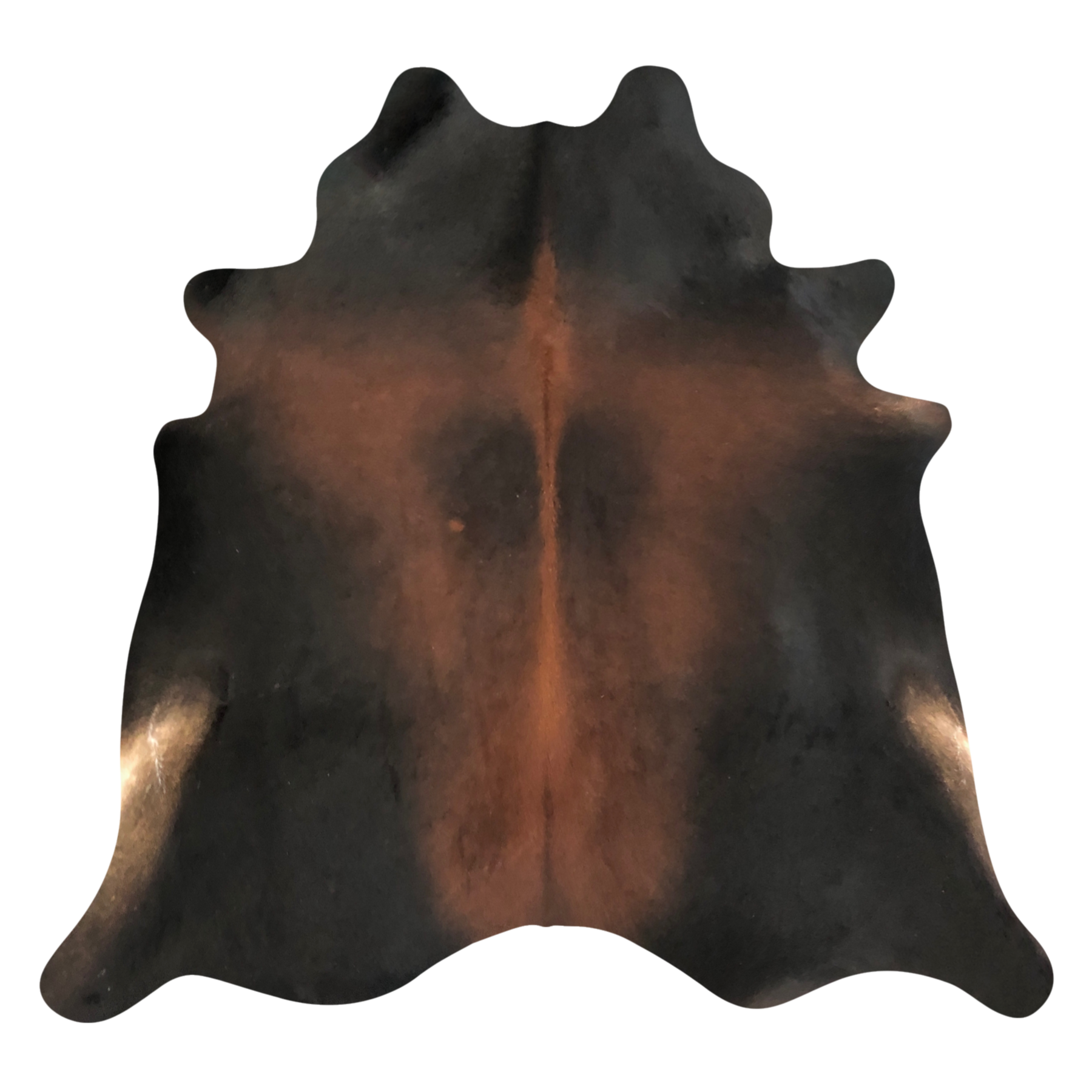 Natural Brazilian cowhide rug in Mocha, Espresso & Caramel with Exotic markings, 214 x 240 cm