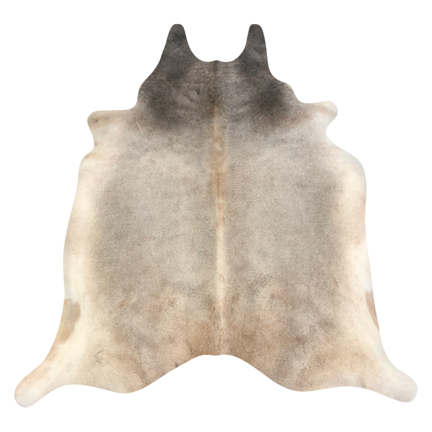 Natural Brazilian cowhide rug in Taupe & Beige with Exotic markings, 212 x 220 cm