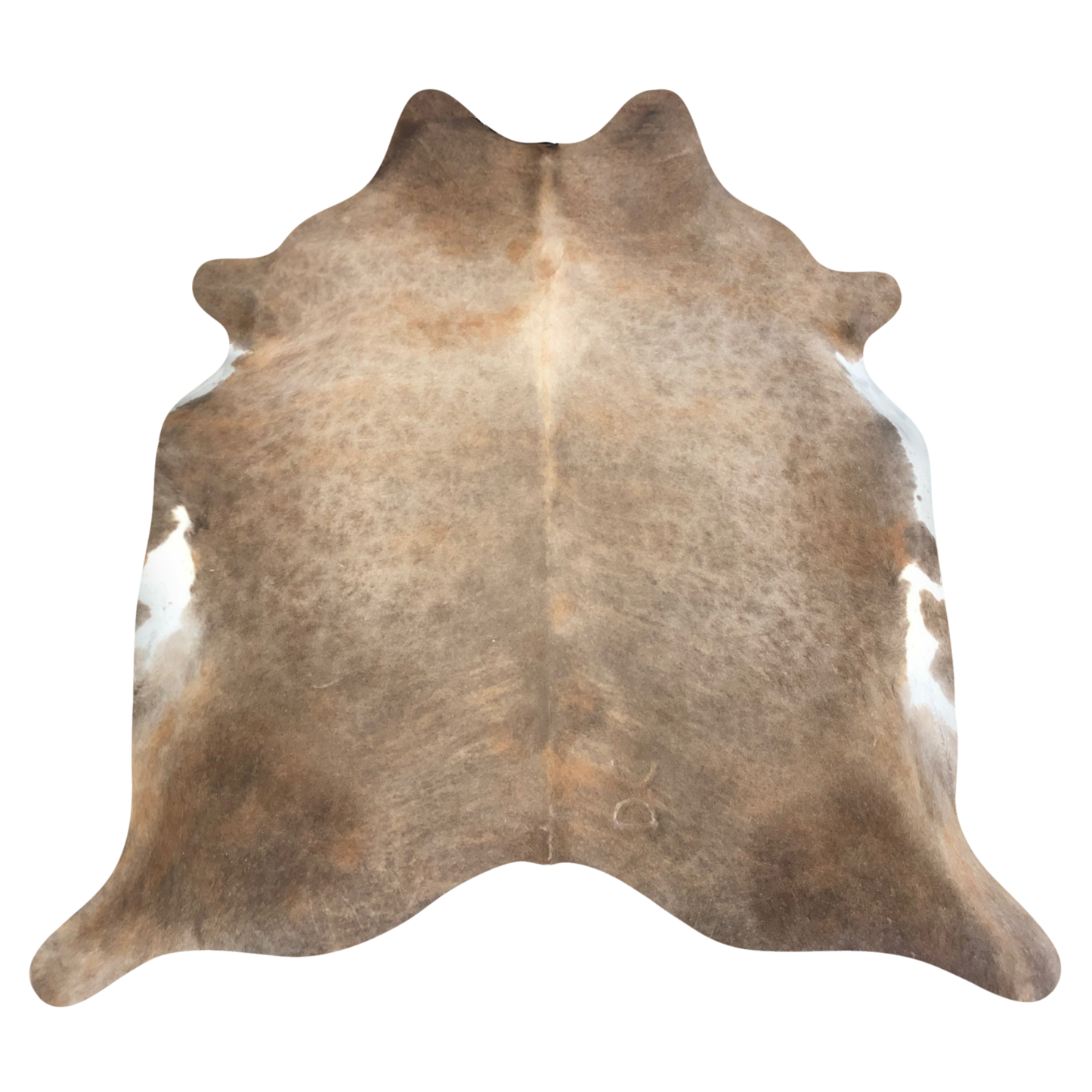 Natural Brazilian cowhide rug in Caramel & Ivory with Exotic markings, 213 x 240 cm