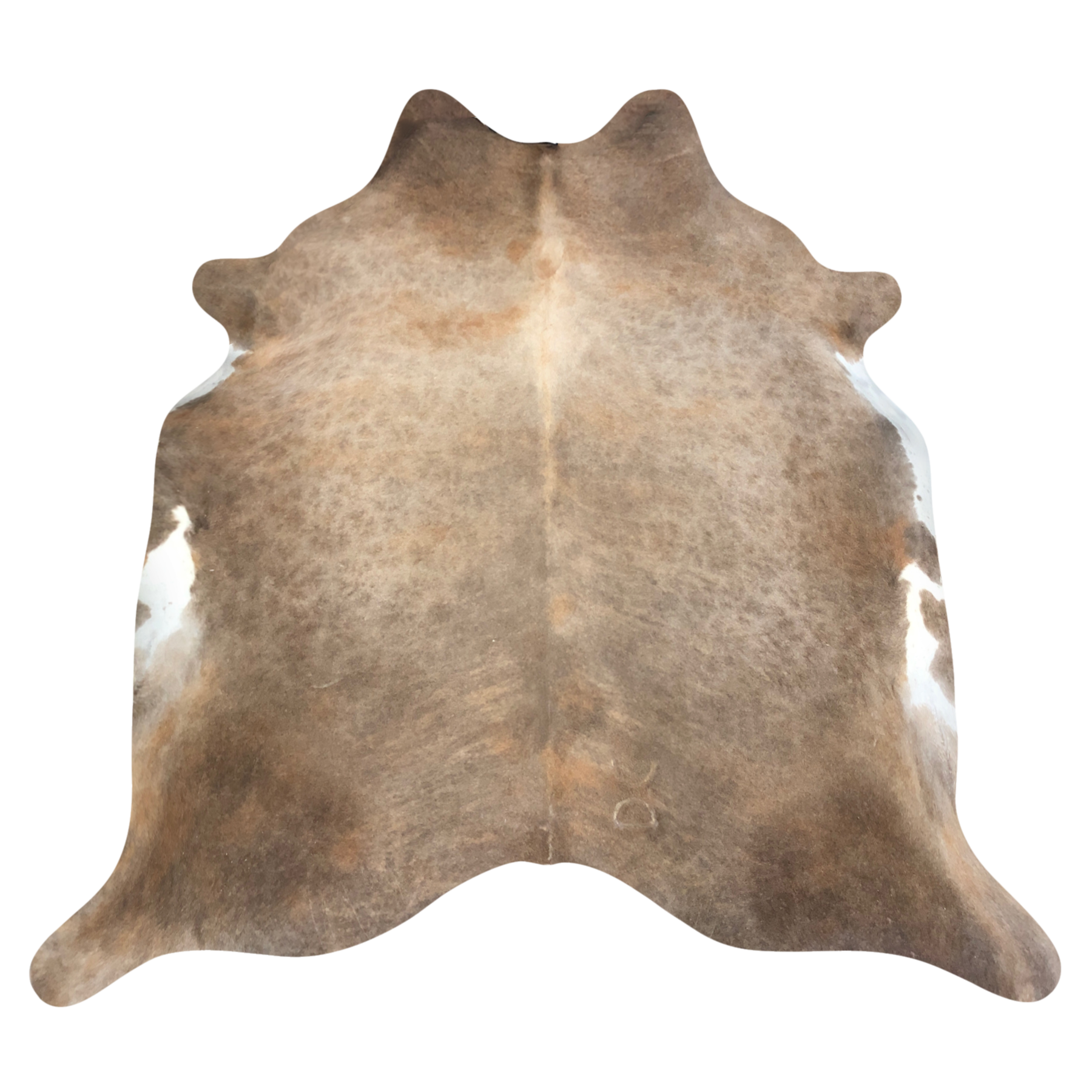 Natural Brazilian cowhide rug in Caramel & Ivory with Exotic markings, 213 x 240 cm