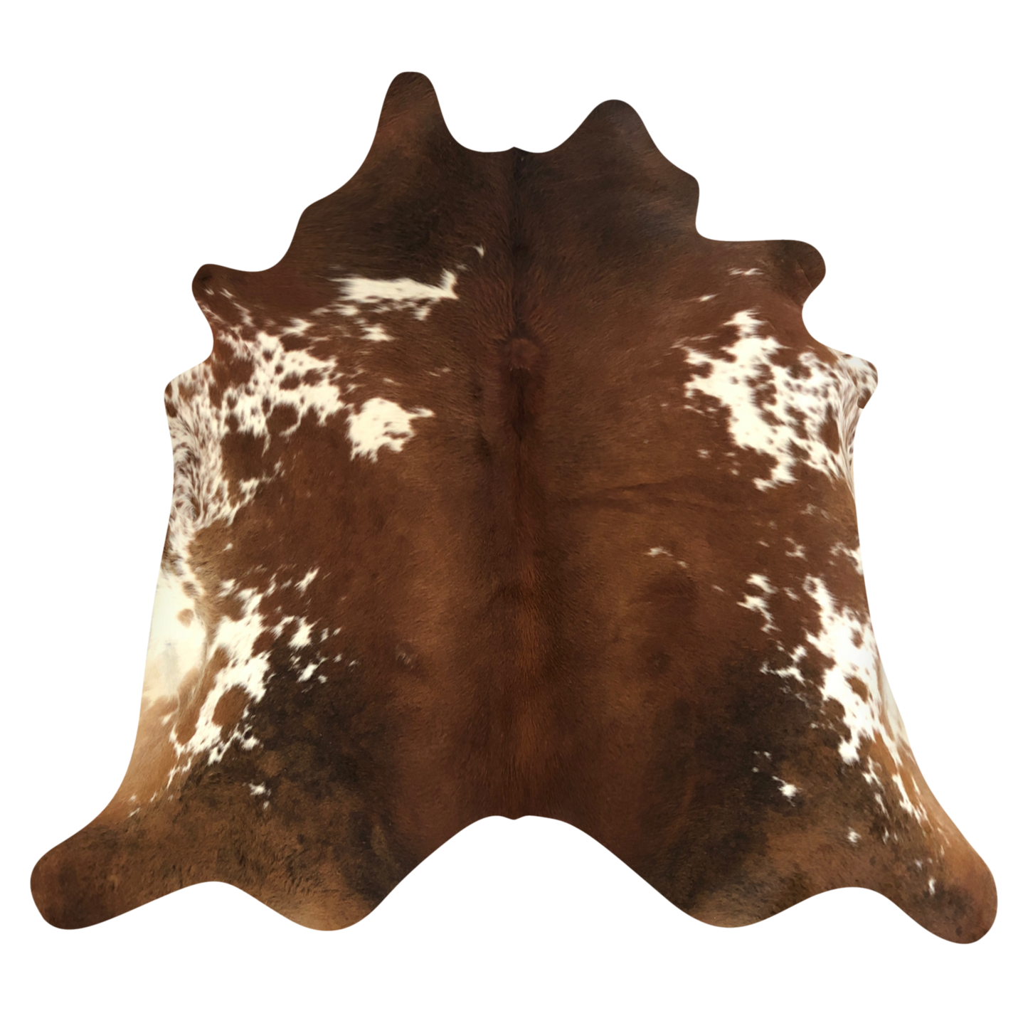 Natural Brazilian cowhide rug in Mocha & Ivory with Exotic markings, 224 x 243 cm
