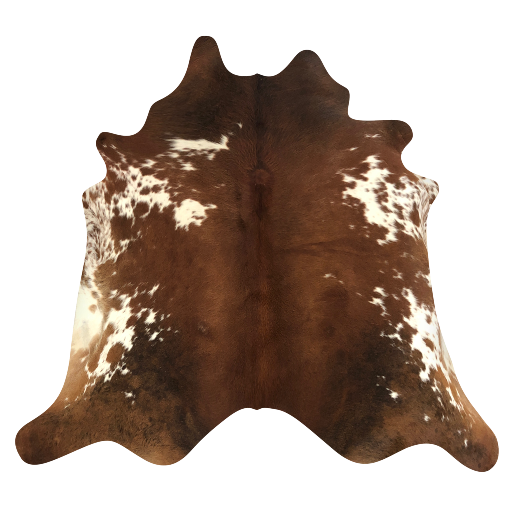 Natural Brazilian cowhide rug in Mocha & Ivory with Exotic markings, 224 x 243 cm