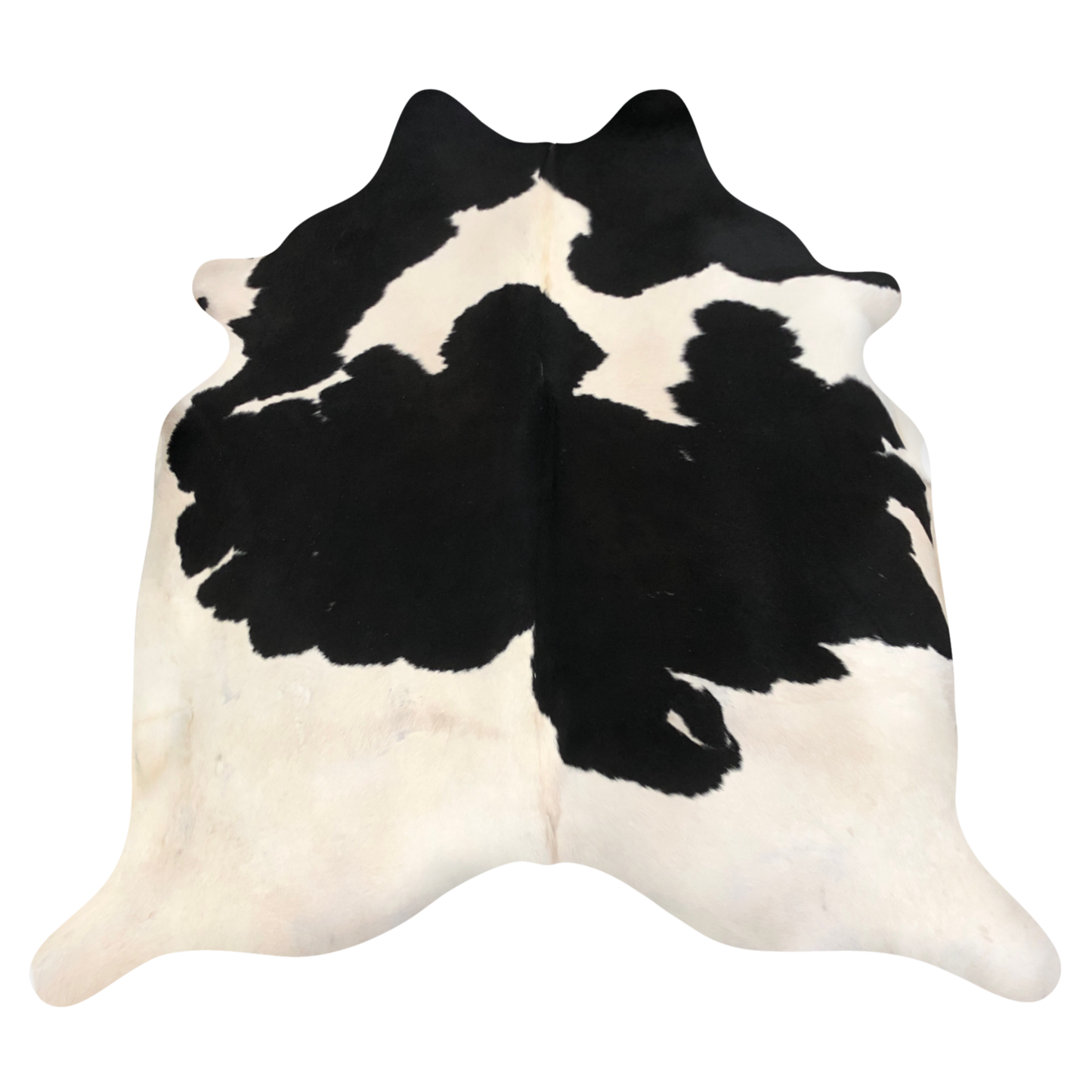 Natural Brazilian cowhide rug in Espresso & Ivory with Holstein markings, 210 x 235 cm