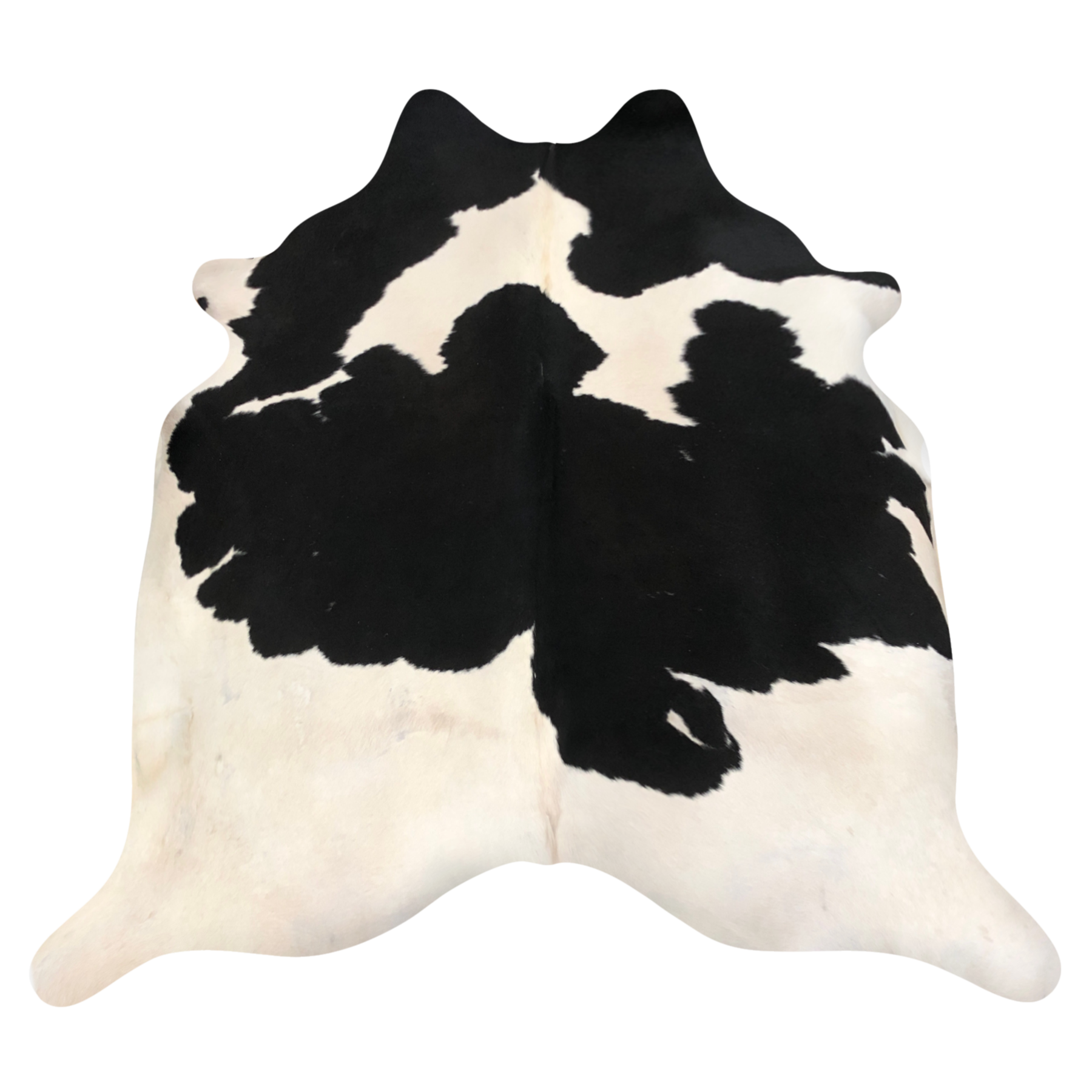 Natural Brazilian cowhide rug in Espresso & Ivory with Holstein markings, 210 x 235 cm