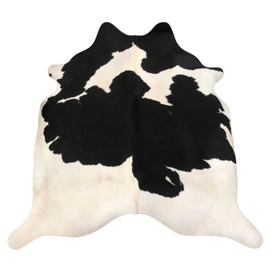 Natural Brazilian cowhide rug in Espresso & Ivory with Holstein markings, 210 x 235 cm