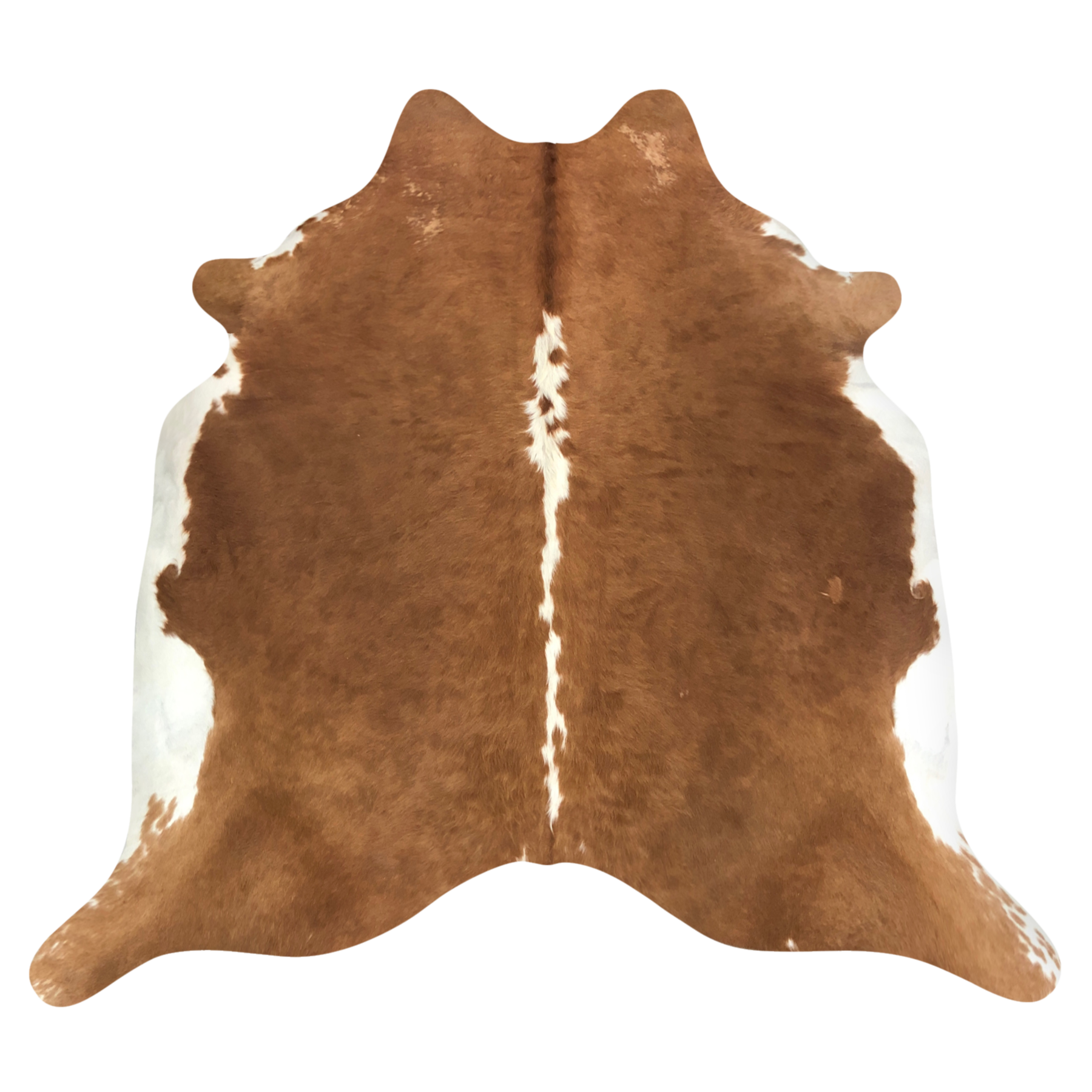Natural Brazilian cowhide rug in Mocha & Ivory with Exotic markings, 214 x 230 cm