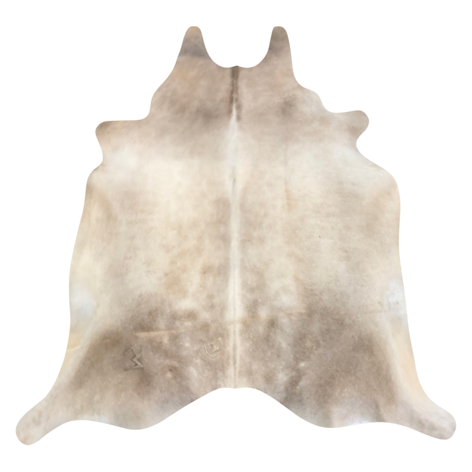 Natural Brazilian cowhide rug in Beige & Ivory with Exotic markings, 216 x 239 cm