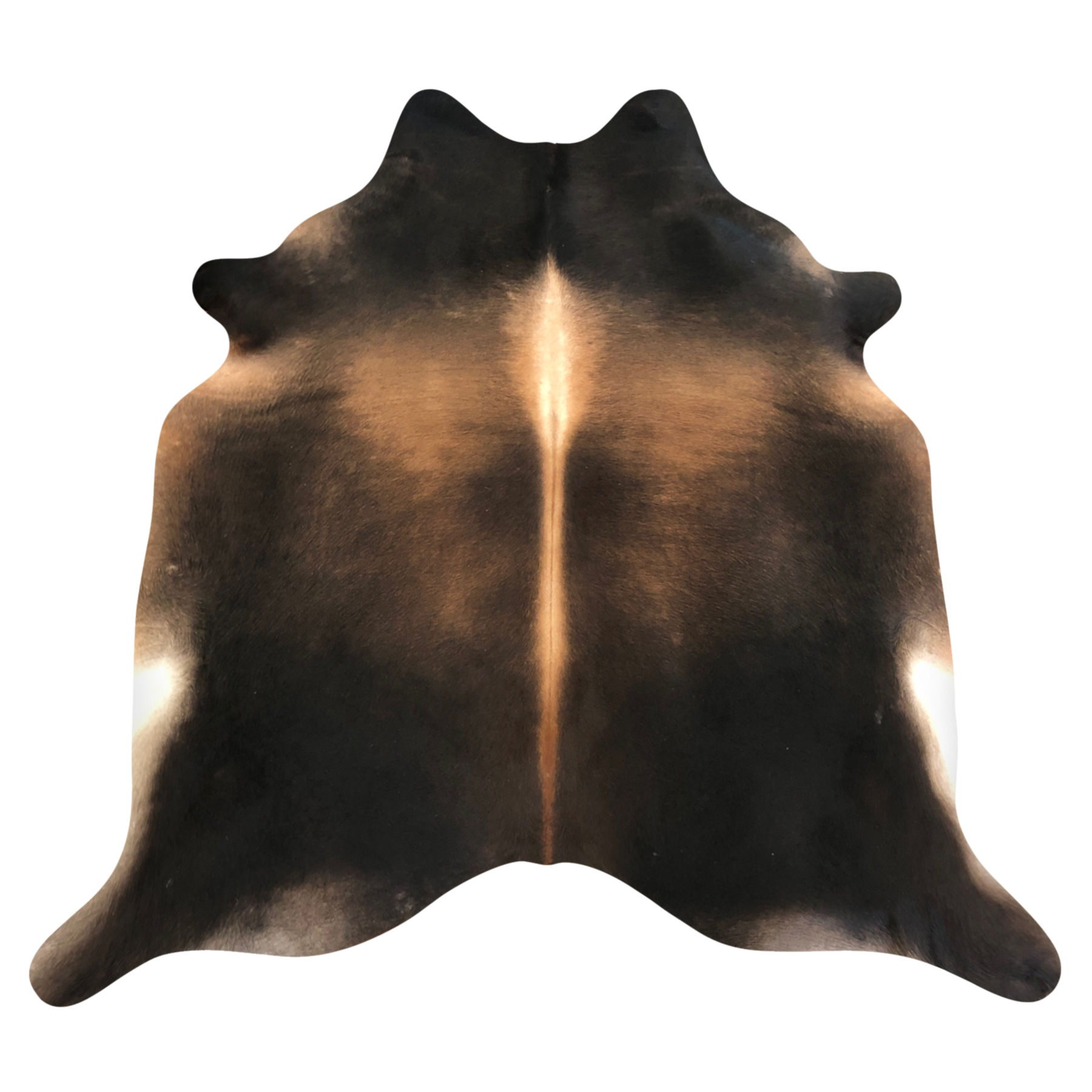 Natural Brazilian cowhide rug in Espresso, Caramel & Ivory with Exotic markings, 218 x 233 cm