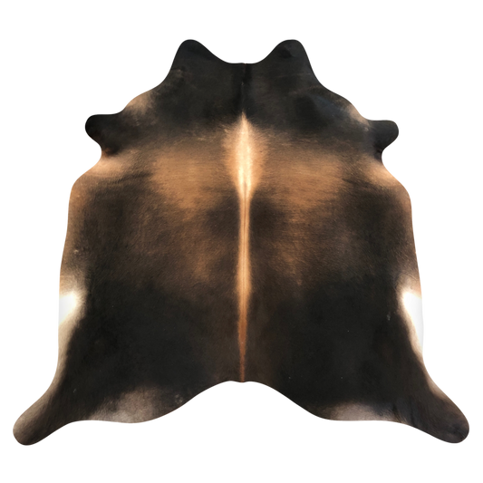 Natural Brazilian cowhide rug in Espresso, Caramel & Ivory with Exotic markings, 218 x 233 cm