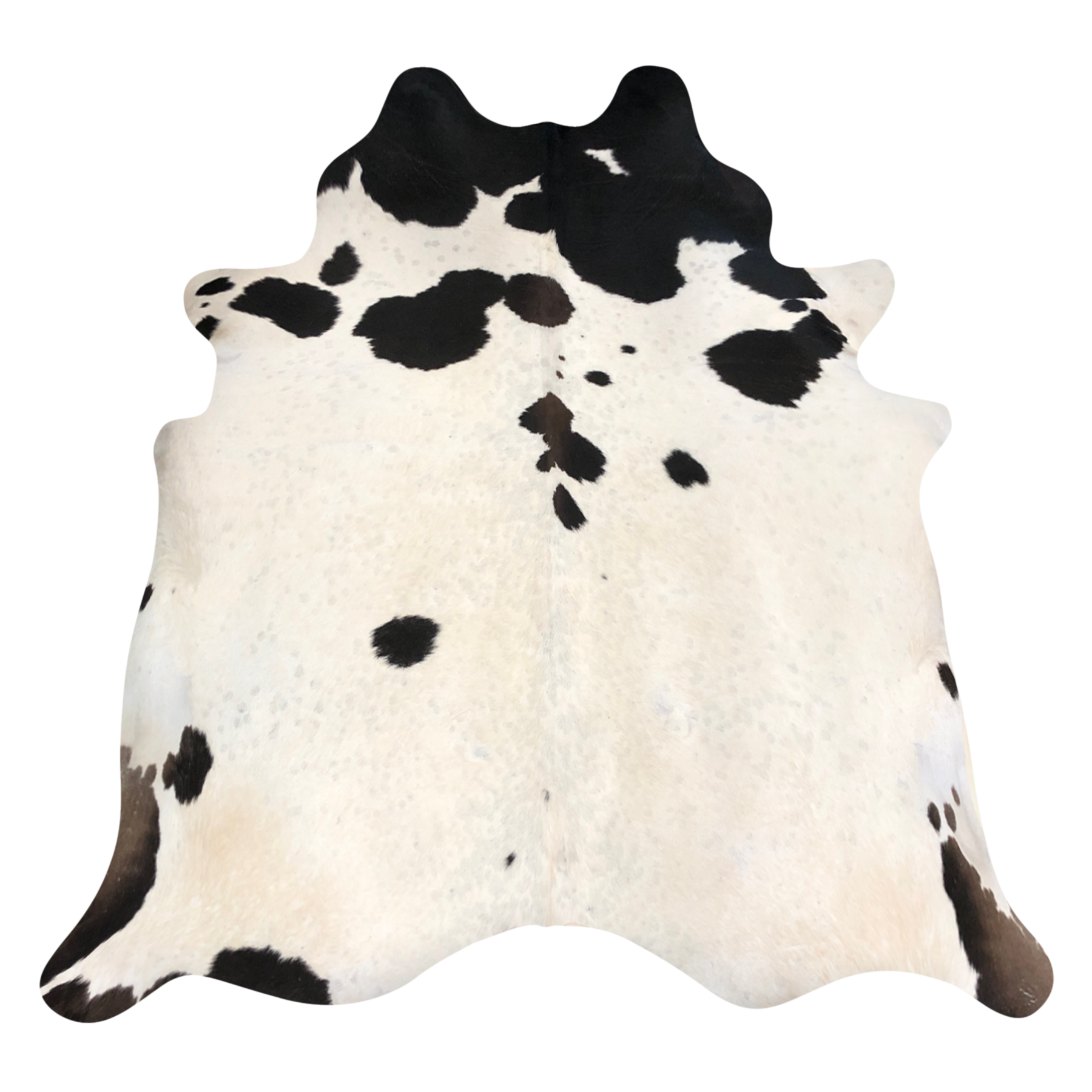 Natural Brazilian cowhide rug in Beige, Espresso & Taupe with Exotic markings, 212 x 228 cm