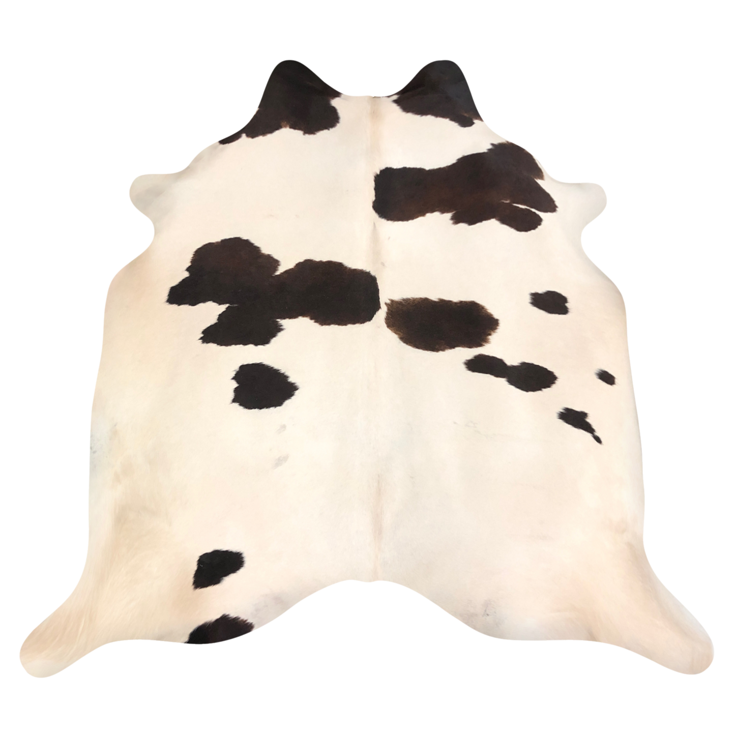 Natural Brazilian cowhide rug in Beige & Espresso with Exotic markings, 220 x 250 cm
