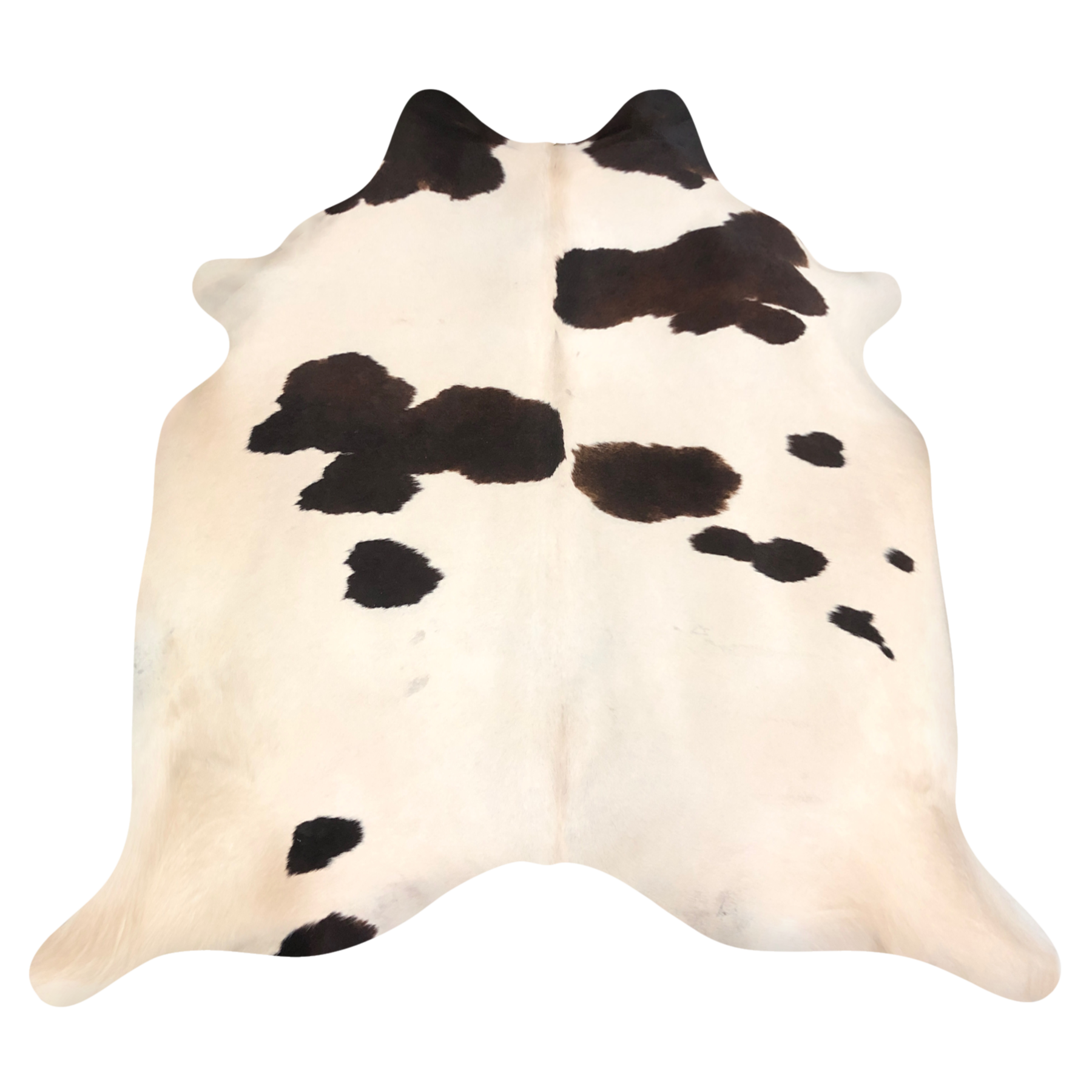Natural Brazilian cowhide rug in Beige & Espresso with Exotic markings, 220 x 250 cm