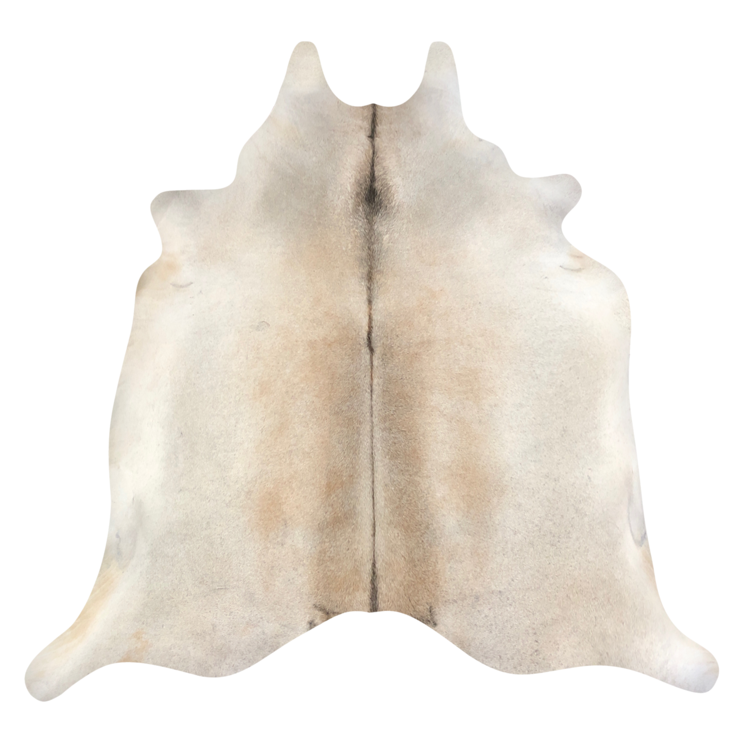Natural Brazilian cowhide rug in Ivory & Beige with Exotic markings, 218 x 220 cm