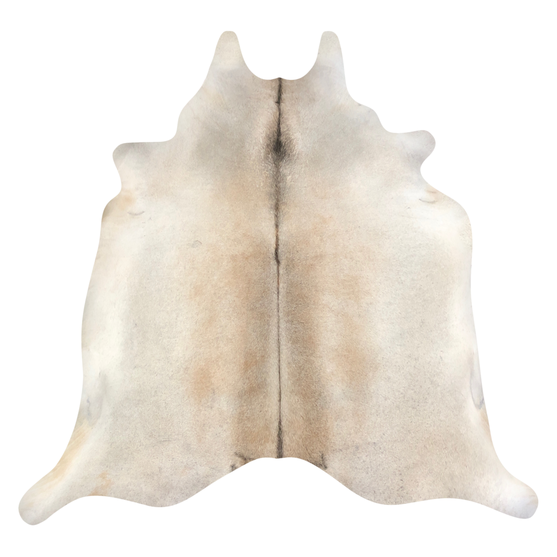 Natural Brazilian cowhide rug in Ivory & Beige with Exotic markings, 218 x 220 cm