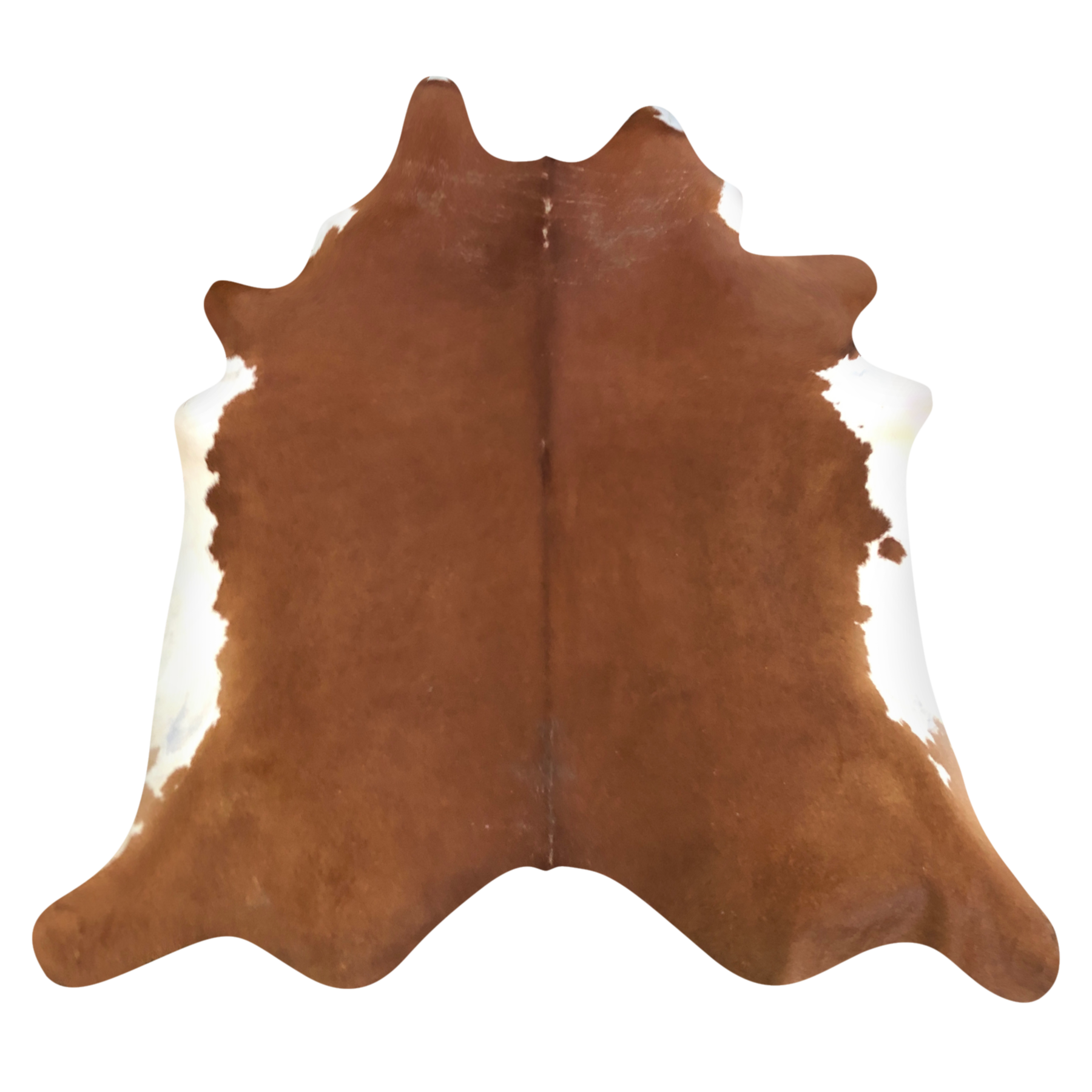 Natural Brazilian cowhide rug in Mocha & Ivory with Exotic markings, 200 x 230 cm