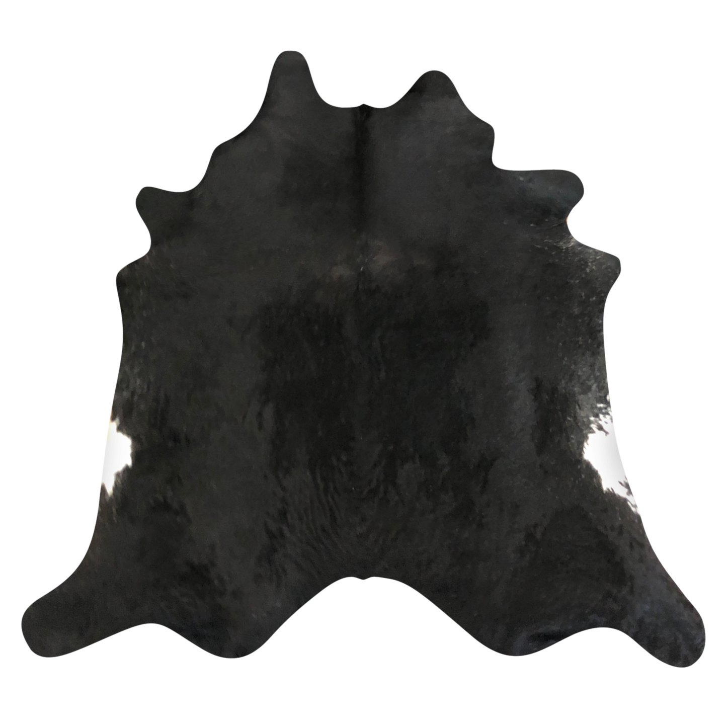 Natural Brazilian cowhide rug in Espresso & Ivory with Exotic markings, 210 x 234 cm