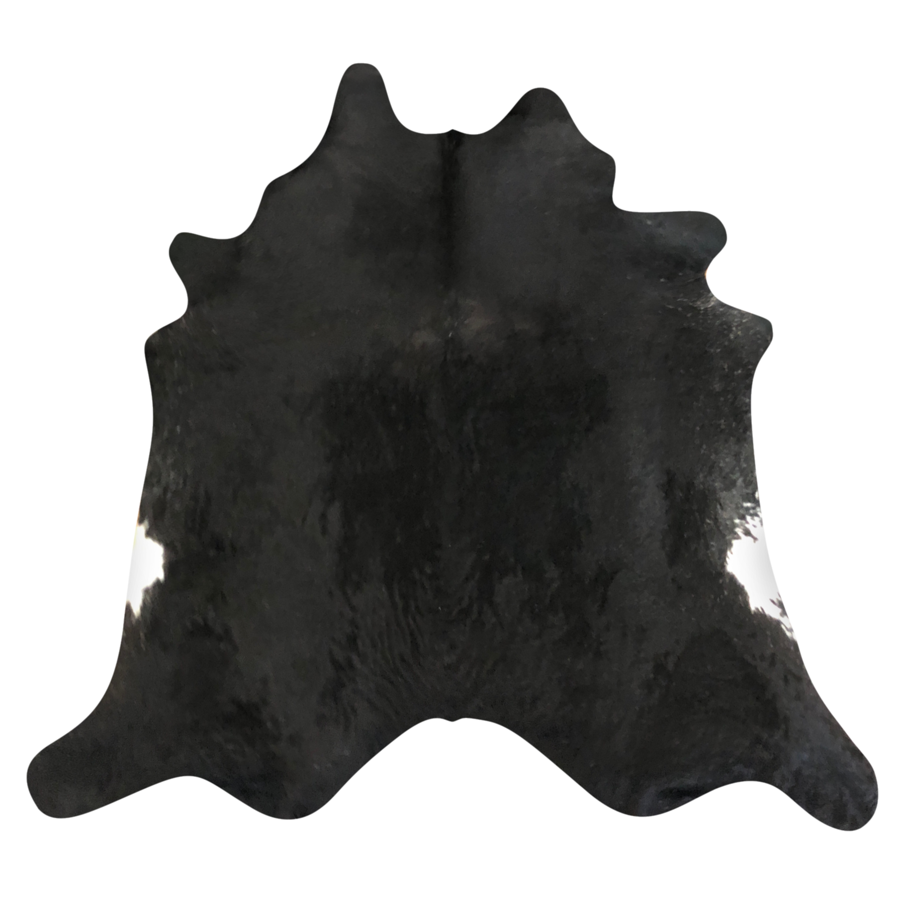 Natural Brazilian cowhide rug in Espresso & Ivory with Exotic markings, 210 x 234 cm