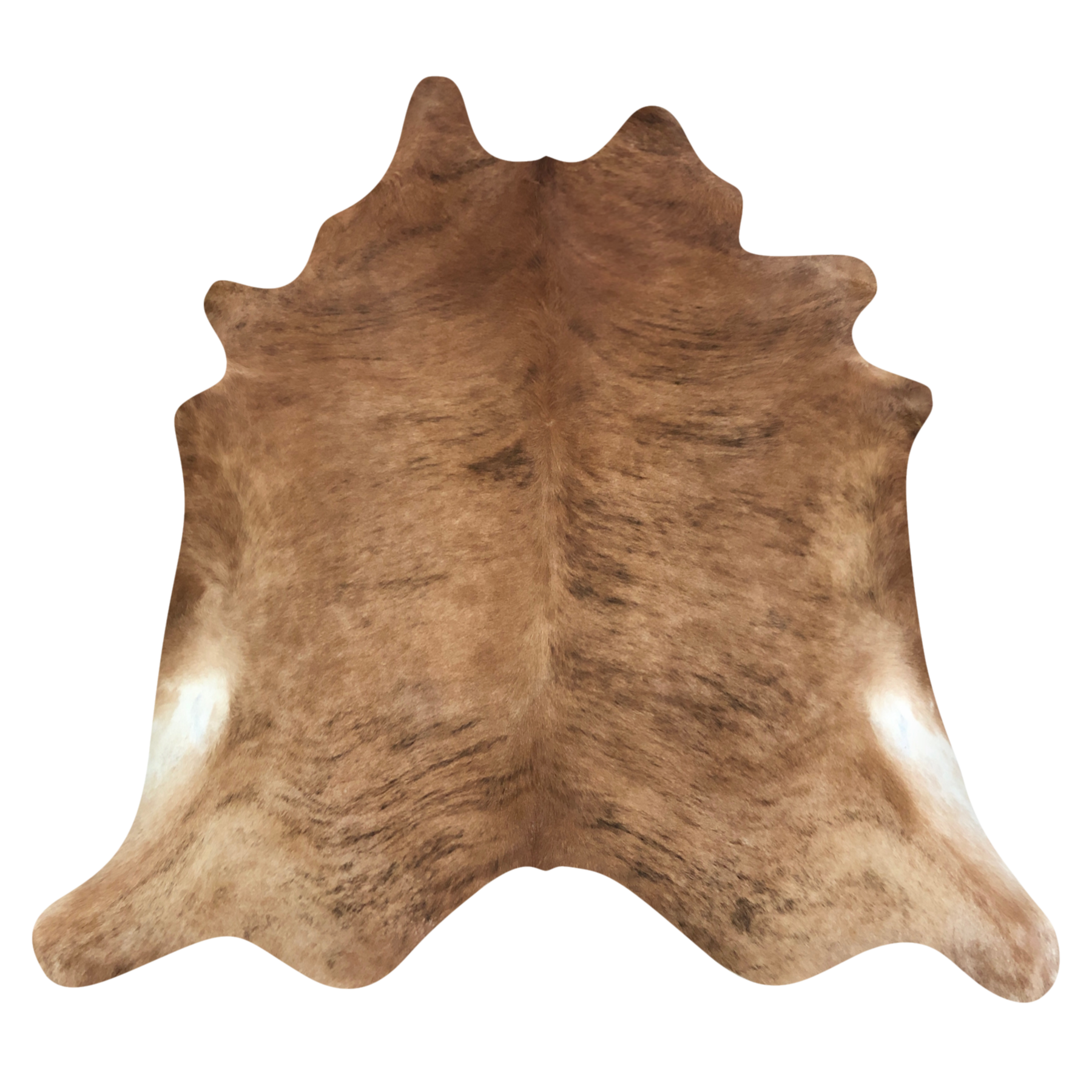 Natural Brazilian cowhide rug in Mocha, Espresso & Ivory with Brindle markings, 212 x 225 cm