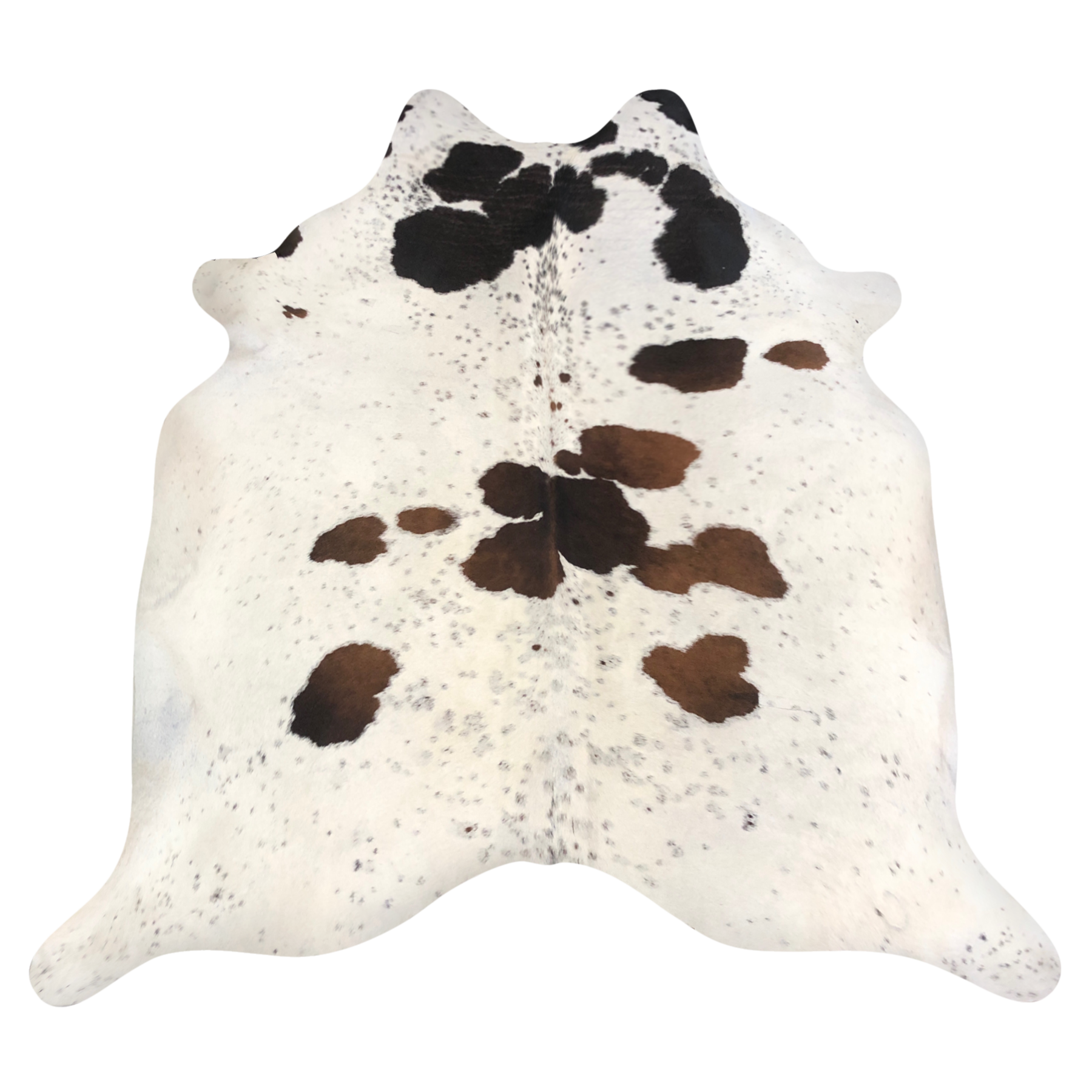 Natural Brazilian cowhide rug in Ivory, Mocha & Espresso with Exotic markings, 210 x 233 cm