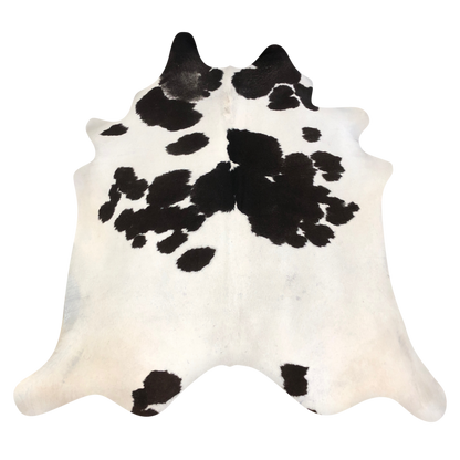 Natural Brazilian cowhide rug in Ivory & Espresso with Exotic markings, 220 x 238 cm