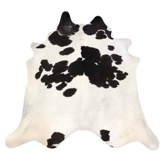 Natural Brazilian cowhide rug in Ivory & Espresso with Exotic markings, 220 x 238 cm