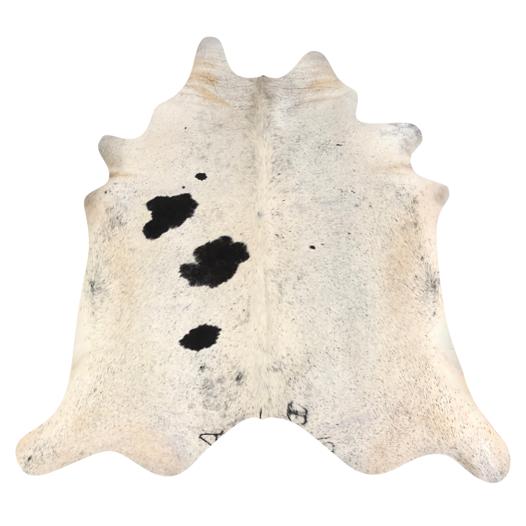 Natural Brazilian cowhide rug in Beige, Taupe & Espresso with Exotic markings, 200 x 231 cm