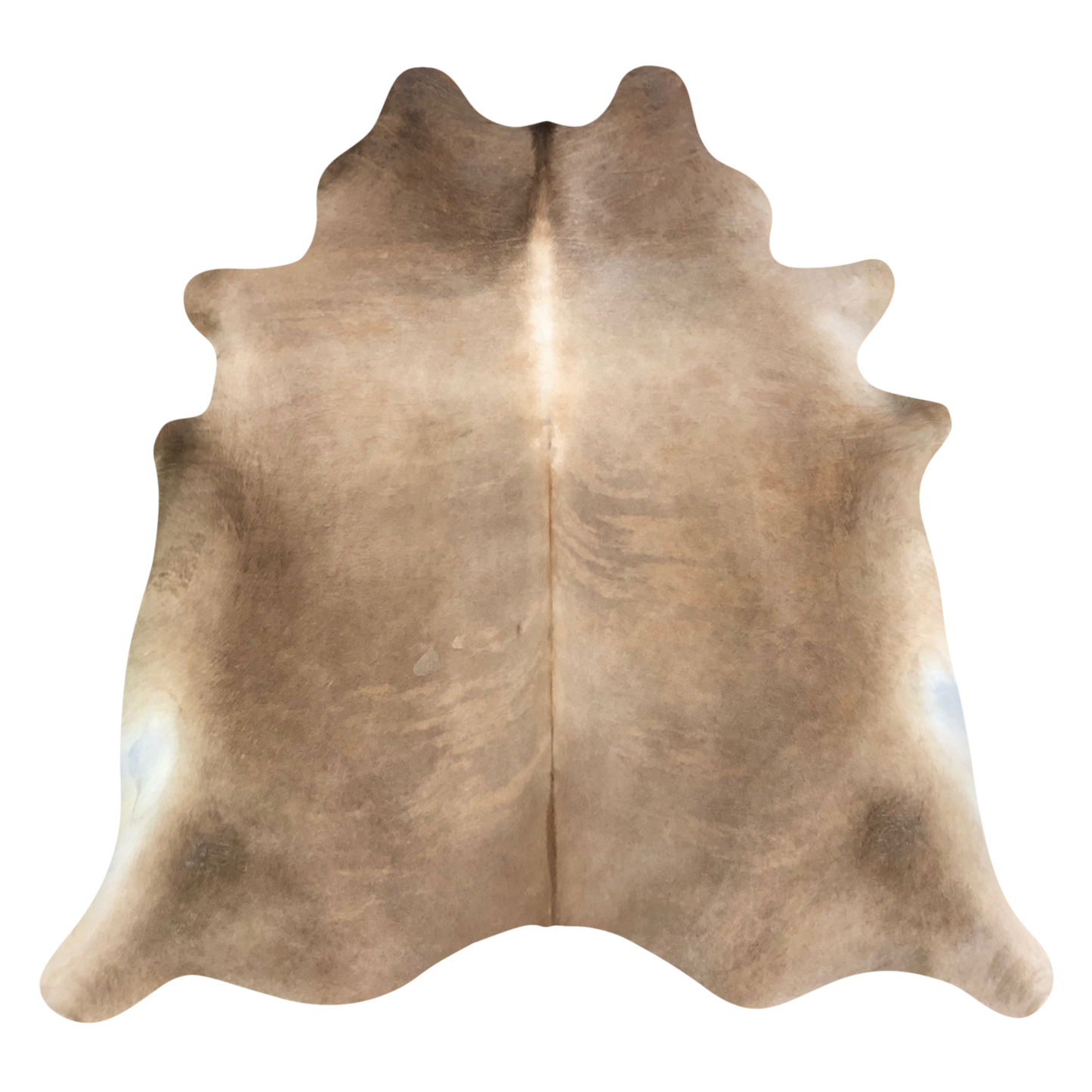 Natural Brazilian cowhide rug in Caramel & Ivory with Exotic markings, 208 x 240 cm