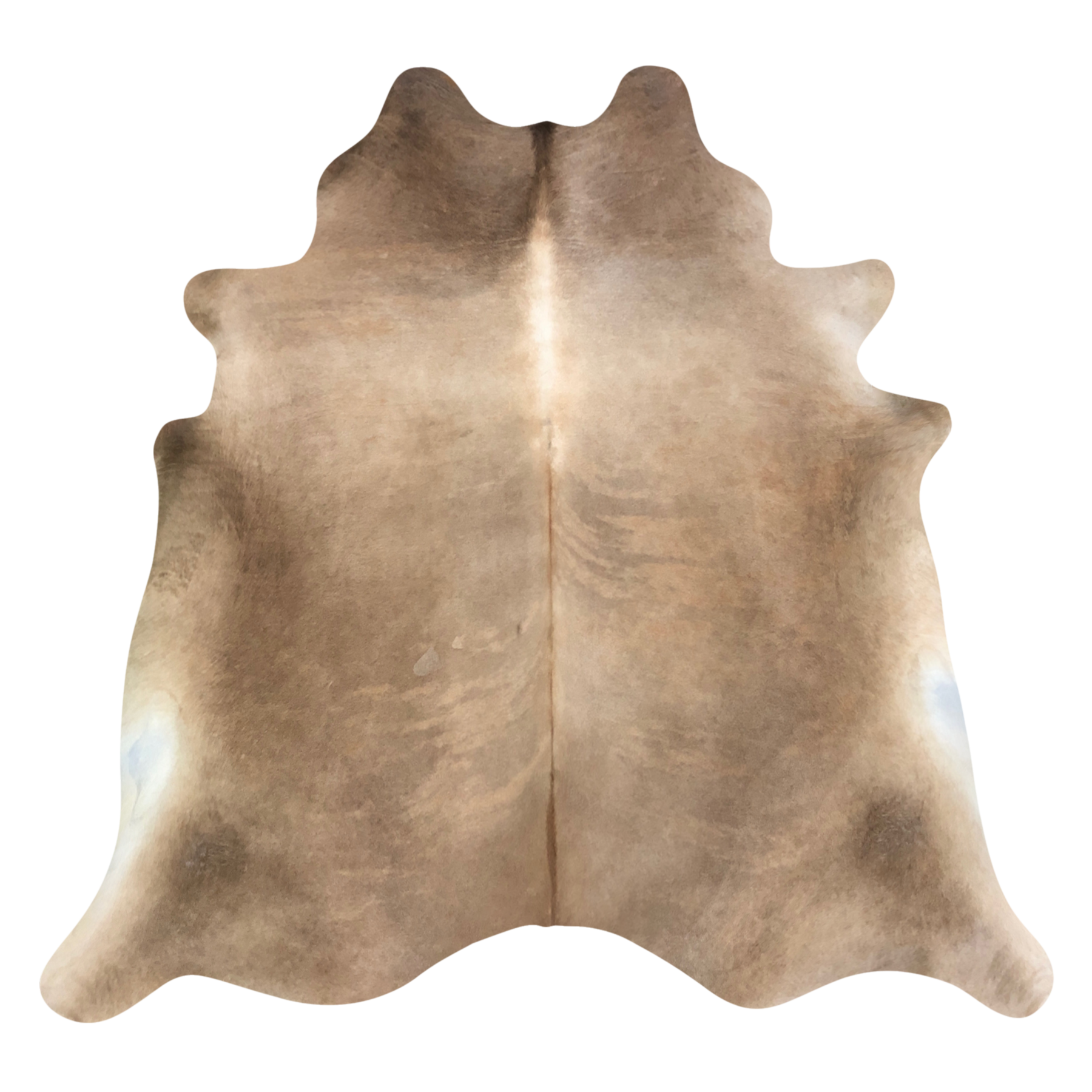 Natural Brazilian cowhide rug in Caramel & Ivory with Exotic markings, 208 x 240 cm