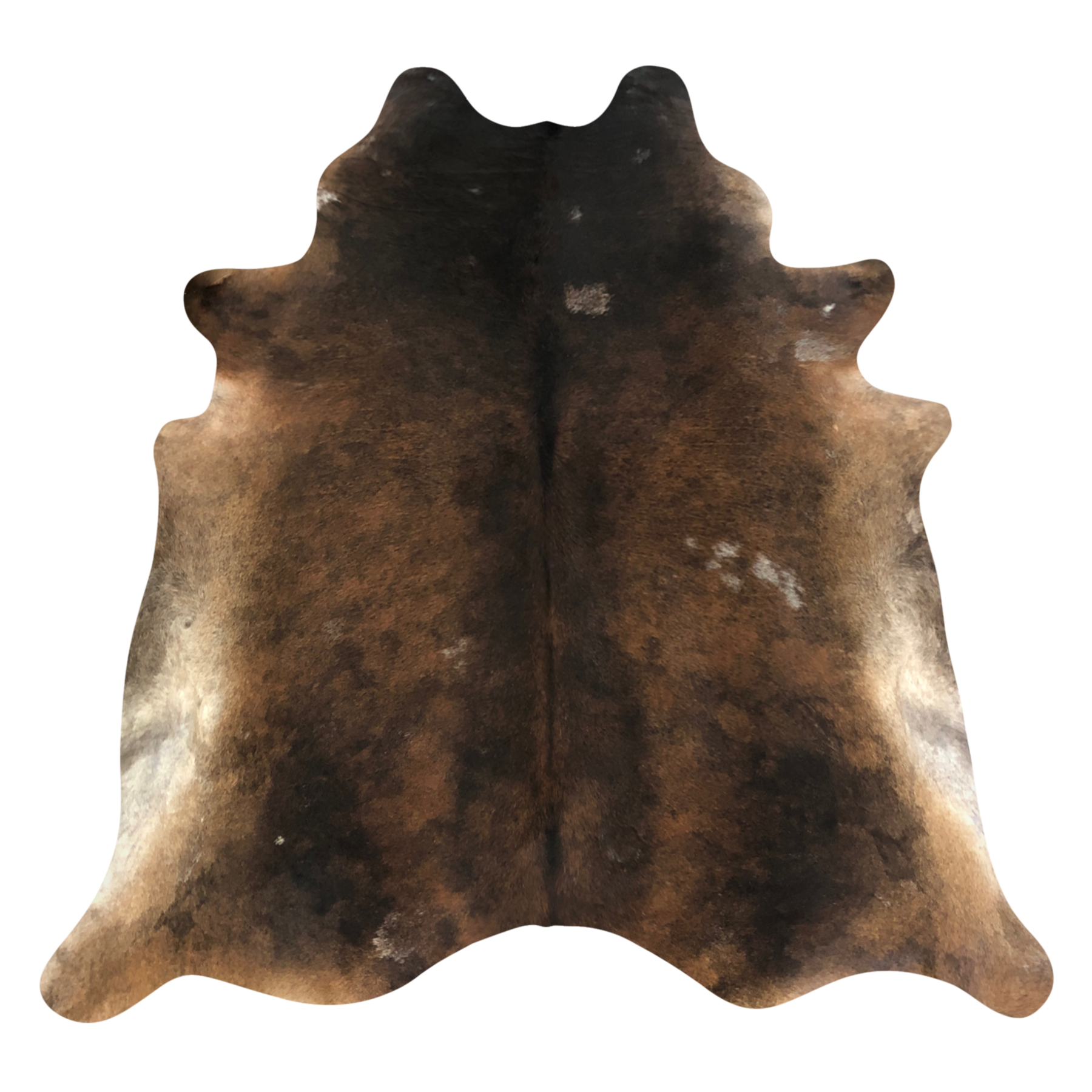 Natural Brazilian cowhide rug in Mocha, Espresso & Ivory with Exotic markings, 212 x 240 cm