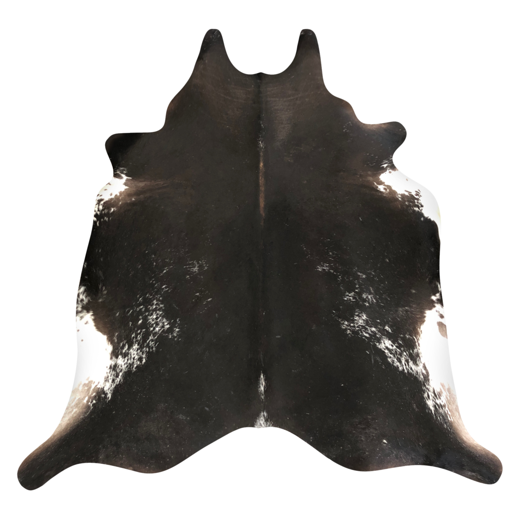 Natural Brazilian cowhide rug in Espresso & Ivory with Exotic markings, 210 x 242 cm