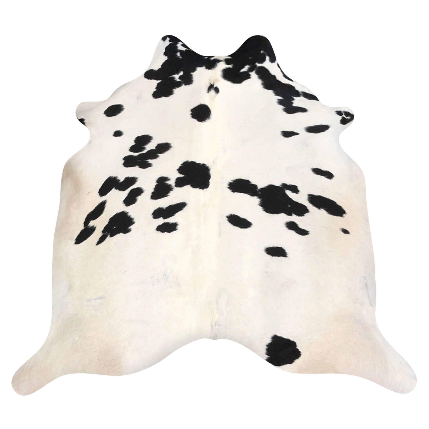 Natural Brazilian cowhide rug in Ivory & Espresso with Exotic markings, 224 x 238 cm