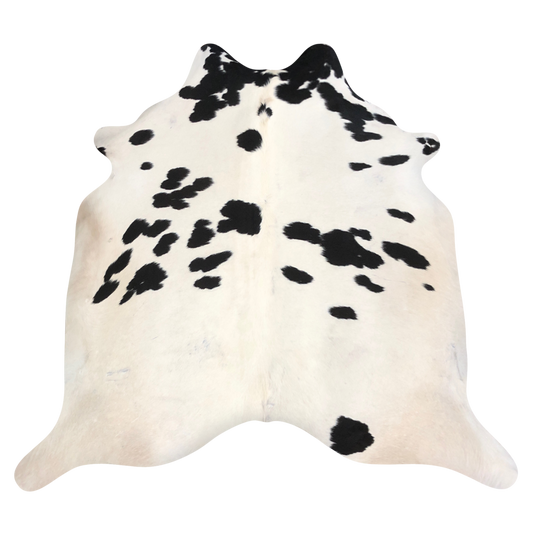 Natural Brazilian cowhide rug in Ivory & Espresso with Exotic markings, 224 x 238 cm