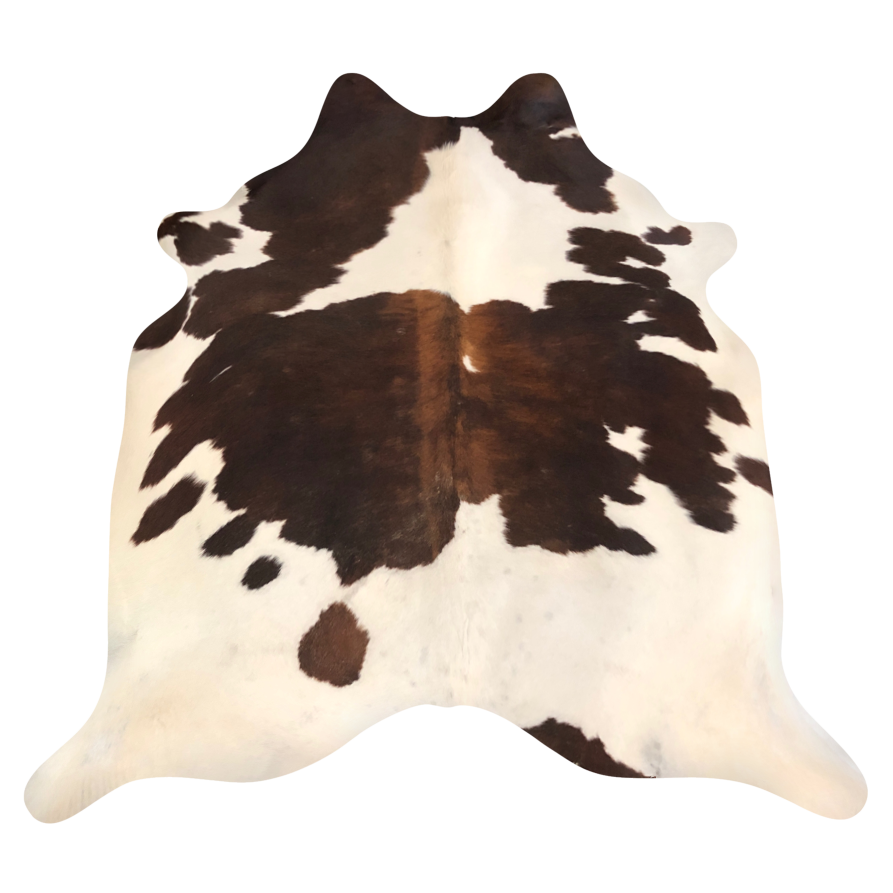 Natural Brazilian cowhide rug in Ivory, Chocolate & Mocha with Exotic markings, 222 x 230 cm